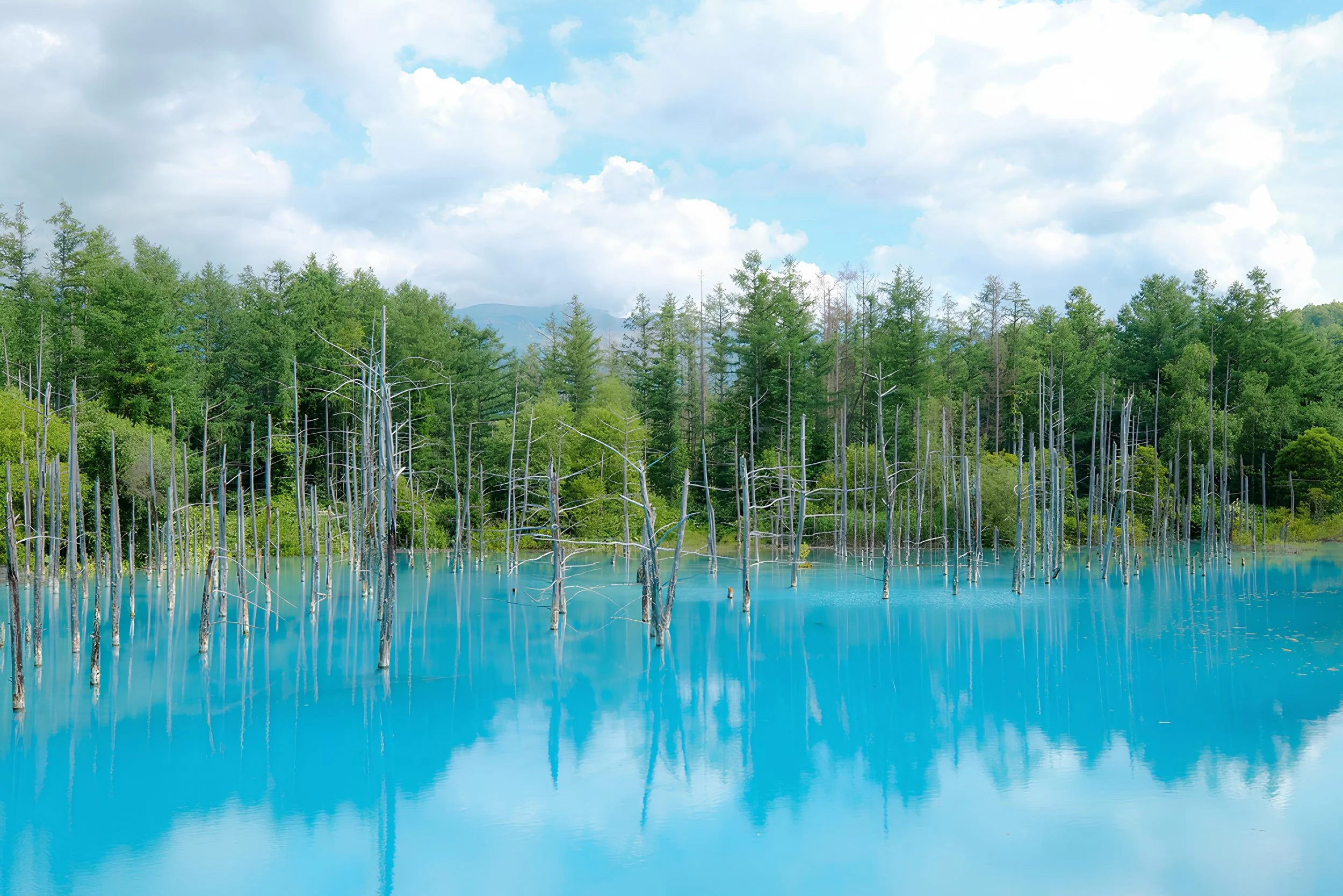 blue pond.jpg