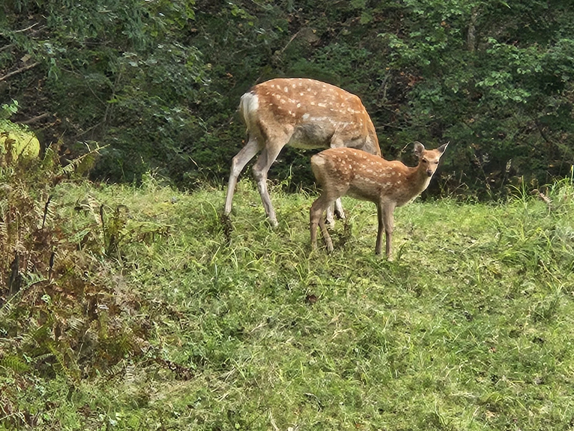 WhatsApp Image 2025-09-20 at 16.13.43.jpeg