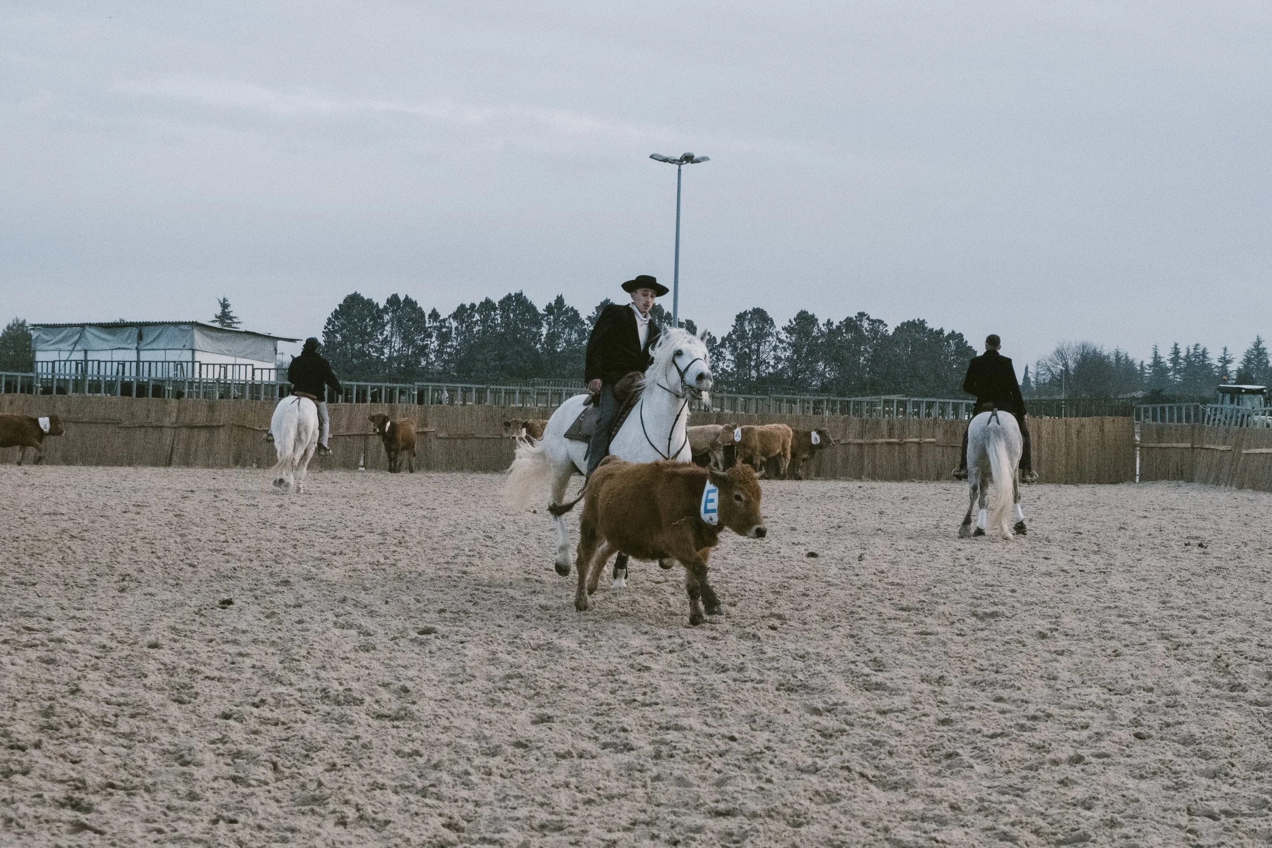 DSCF2238.jpg