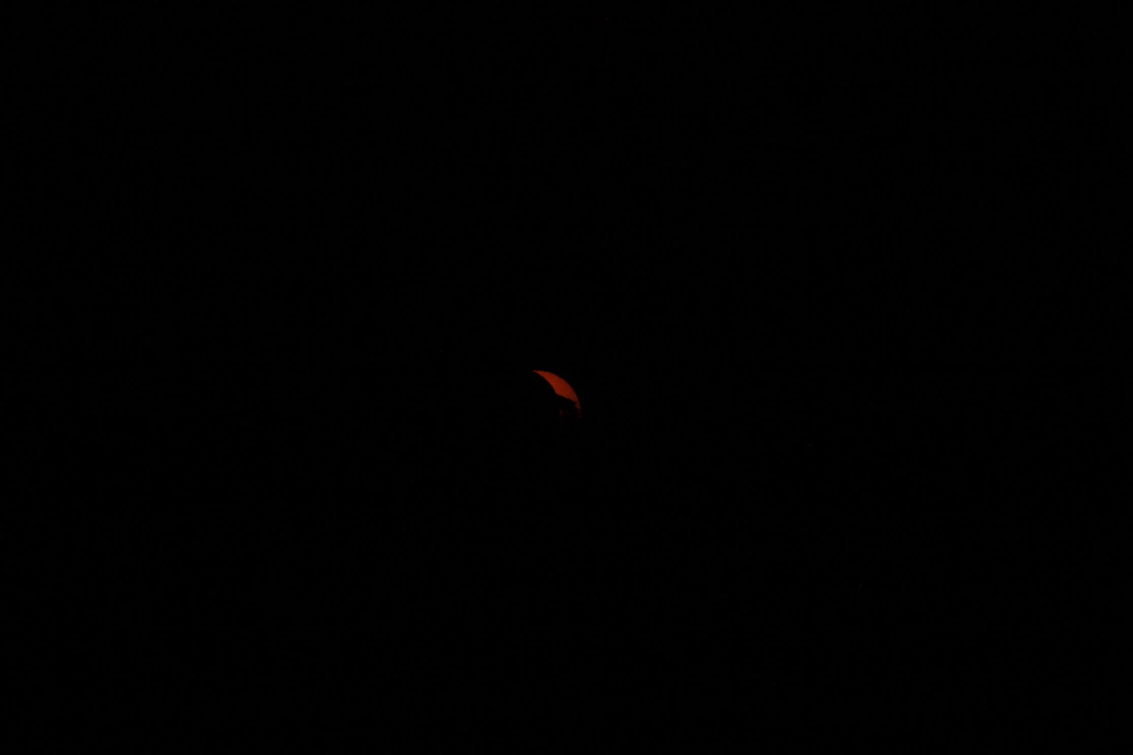 IMG_0984.jpg