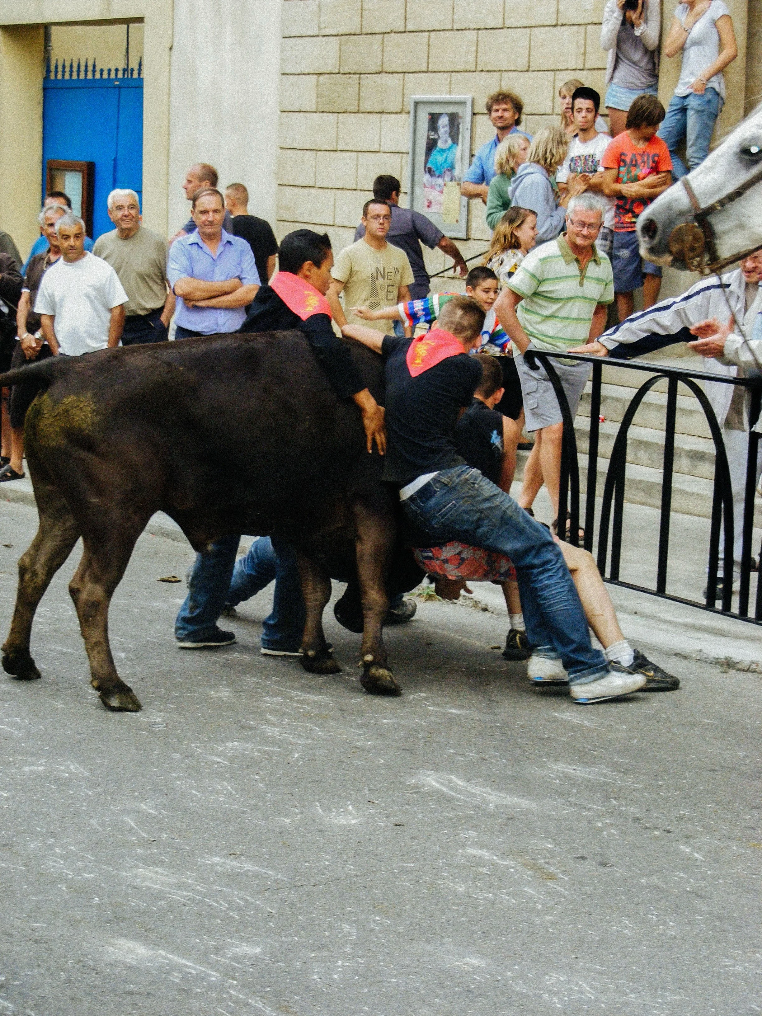 17.07.2009 (38).jpg