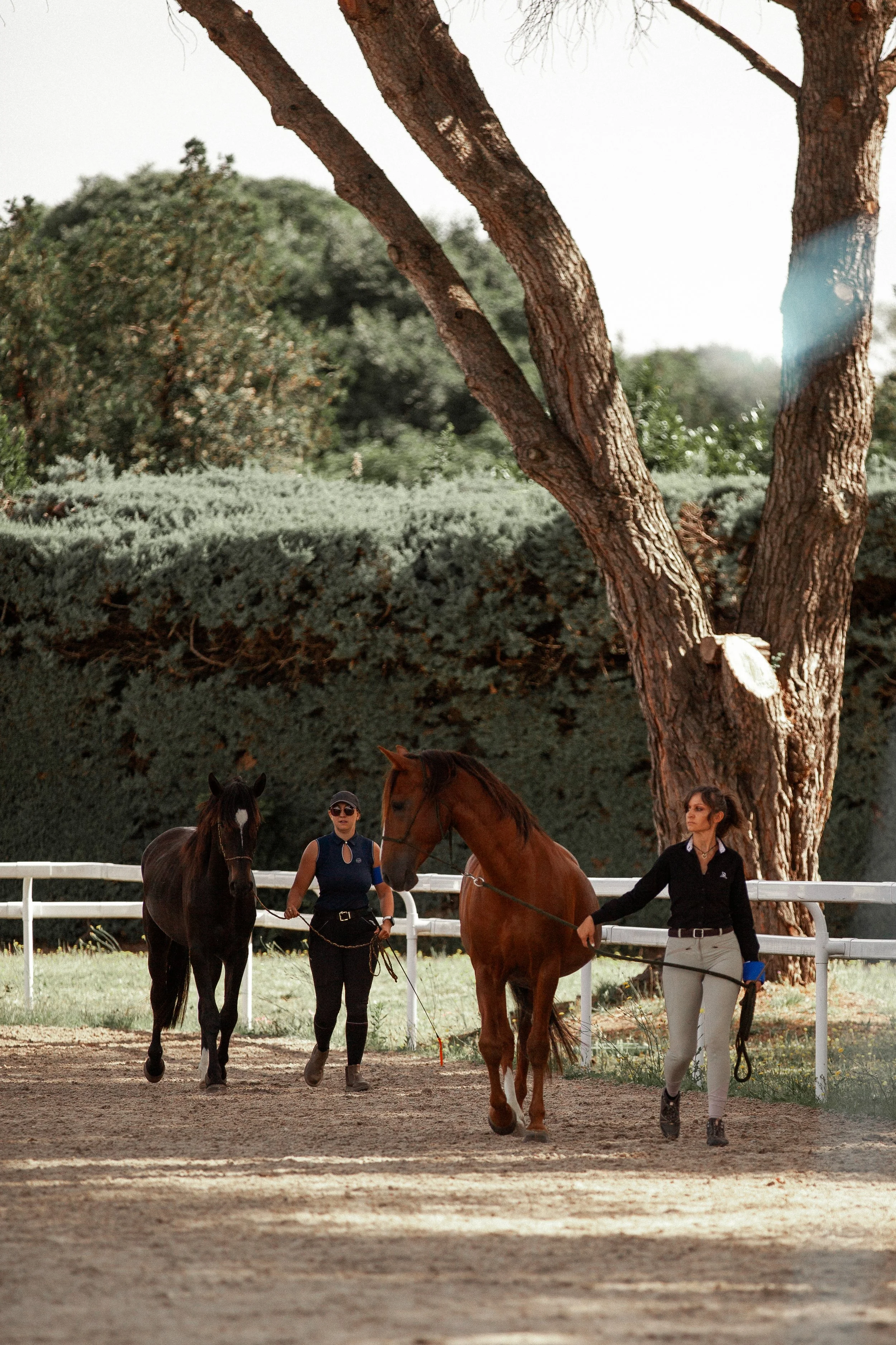 IMG_8688.jpg