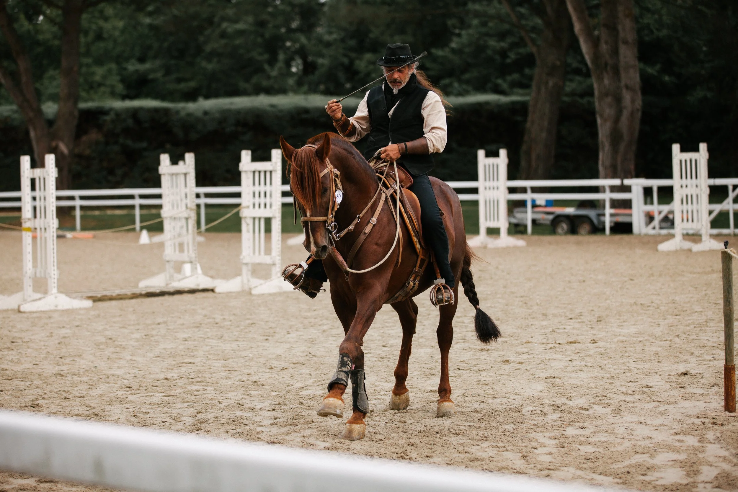 Fête du cheval Barbe