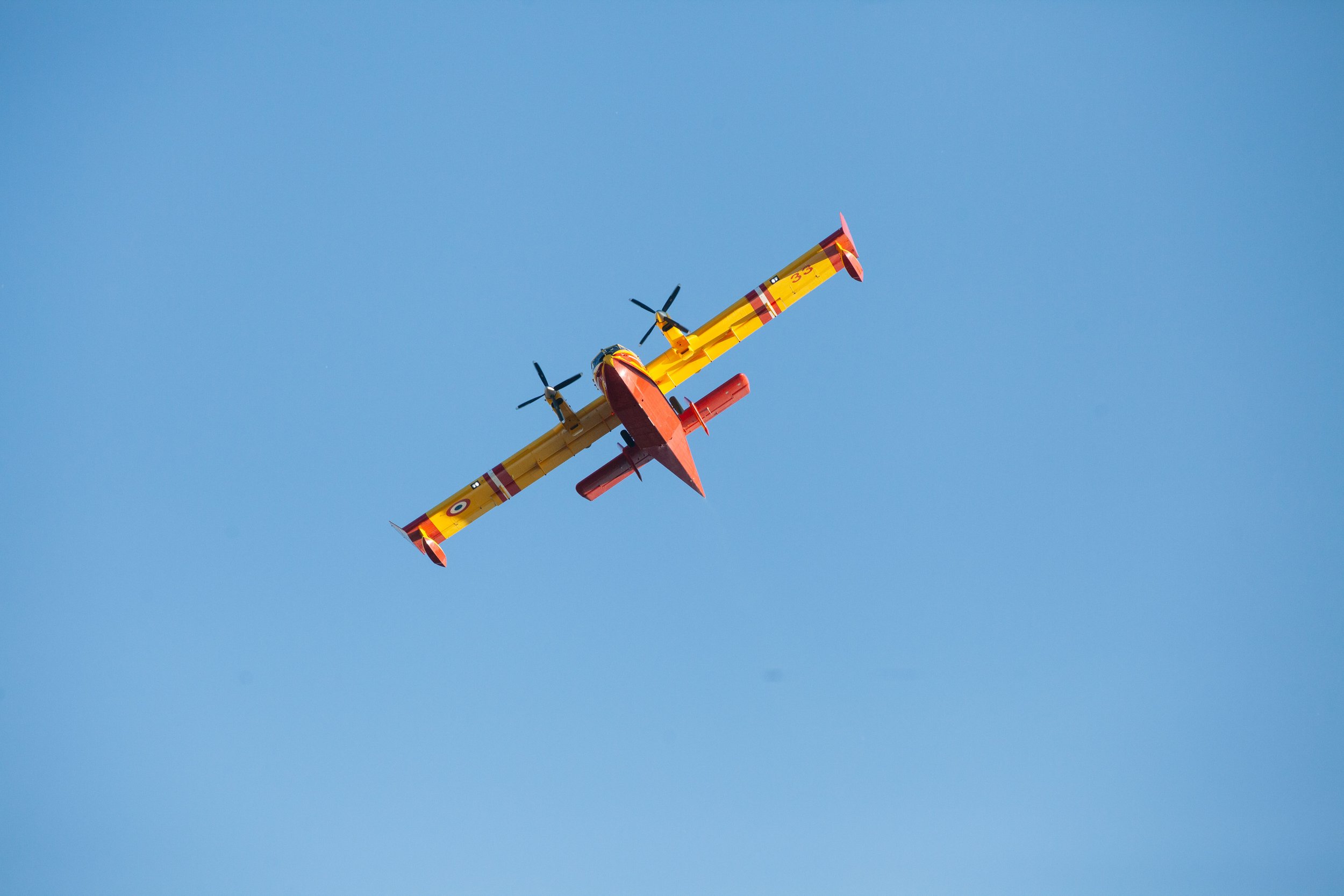 IMG_9900.jpg