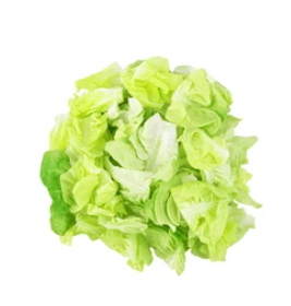 iceberg lettuce.png