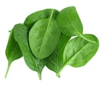 Fresh Spinach