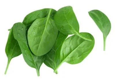 Fresh Spinach