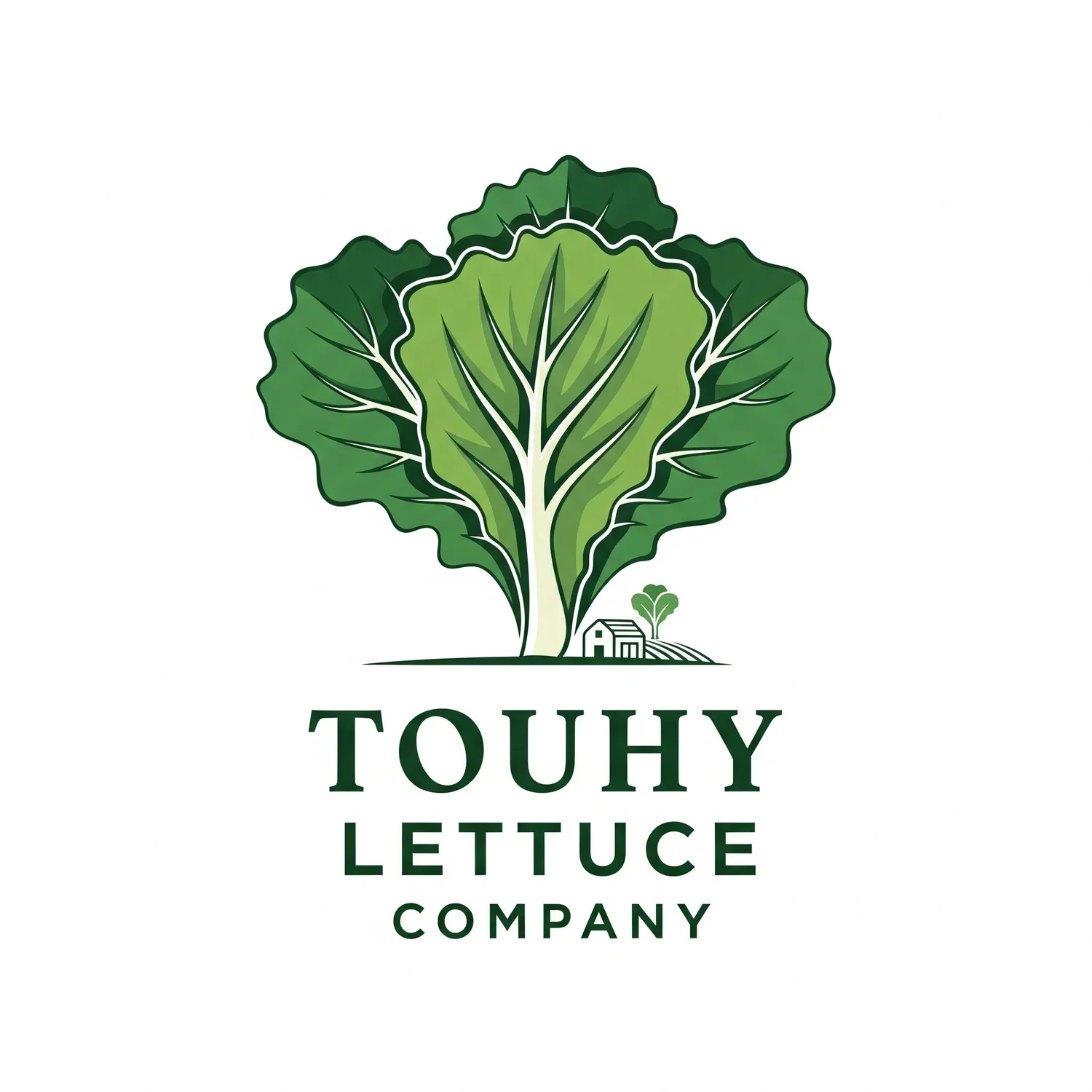 Touhy Lettuce - Magid Shiur 