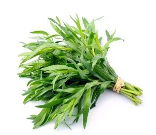 tarragon.jpg