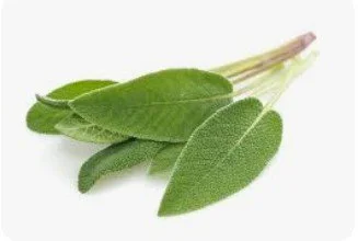 sage.jpg
