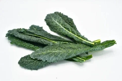 Fresh Dino Kale- 1/2 lb