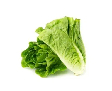 Fresh Romaine Lettuce