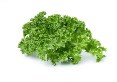 kale.jpg