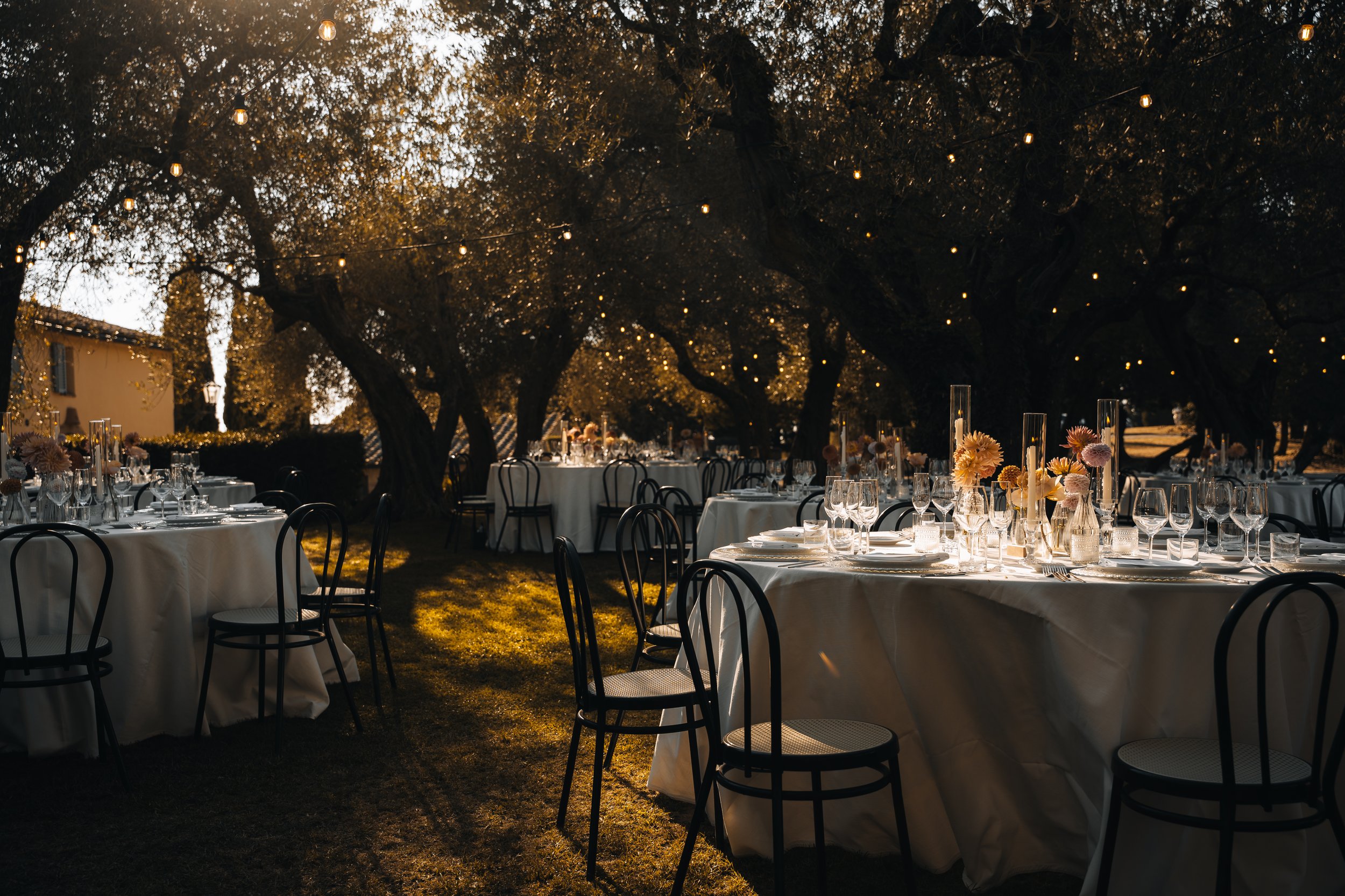 Olive garden dinner setup.jpg