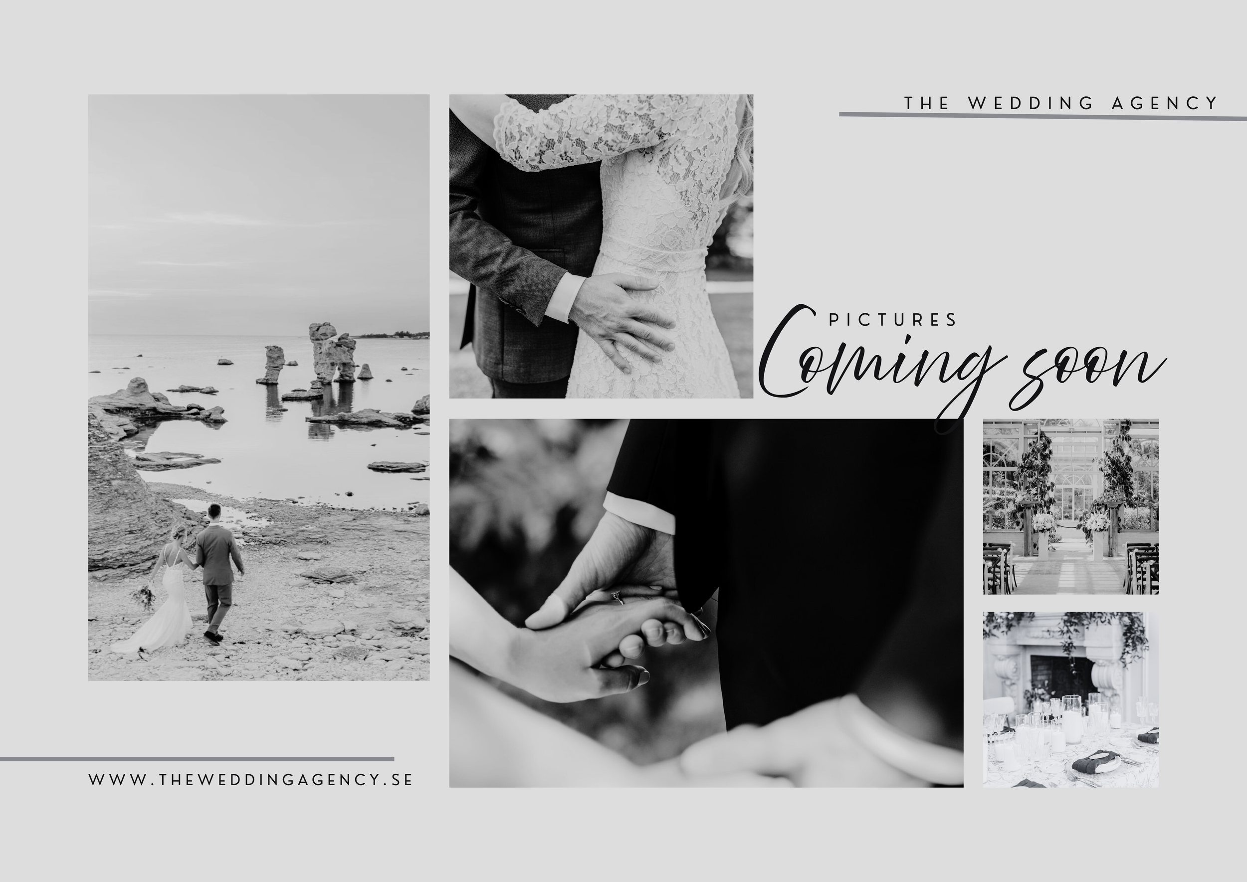 The wedding agency (2).png