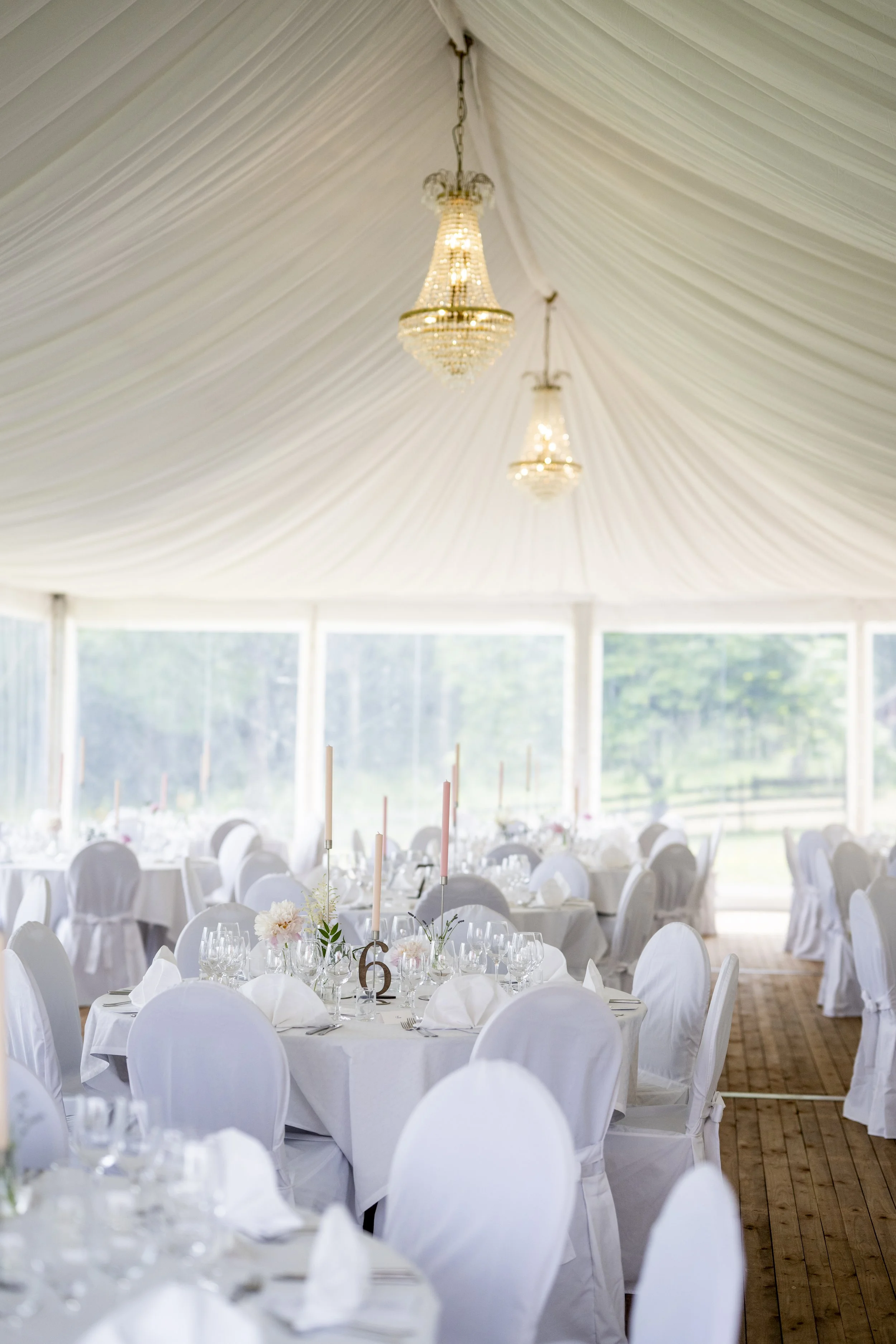 A & H Kate Gabor (5).jpg