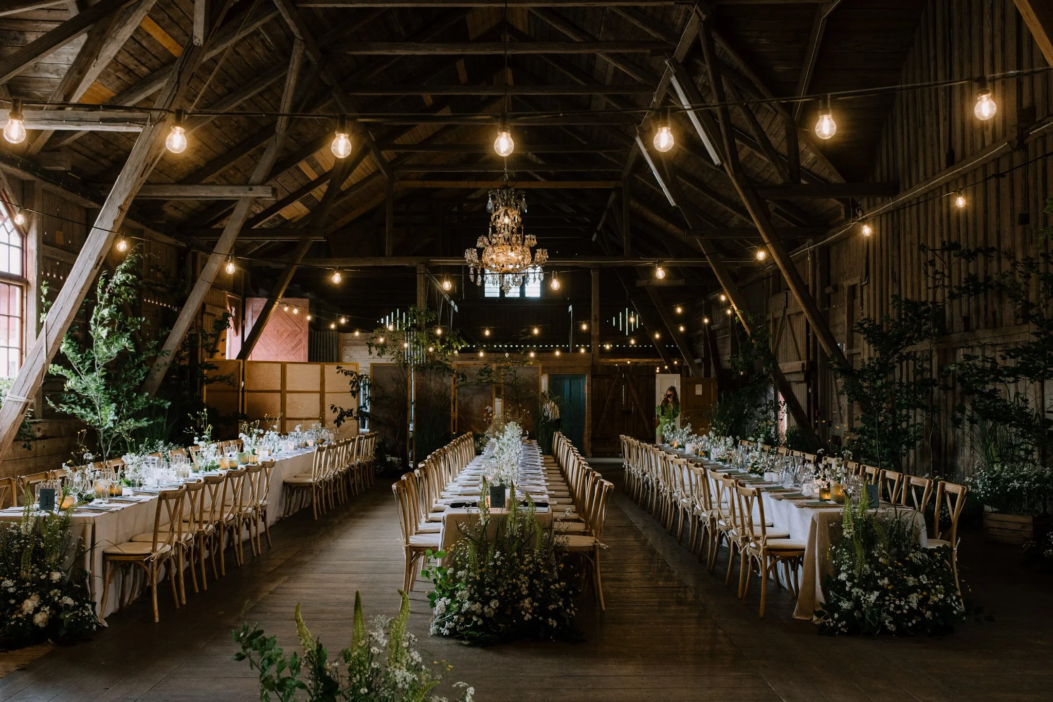 axelinez preview-41.jpg