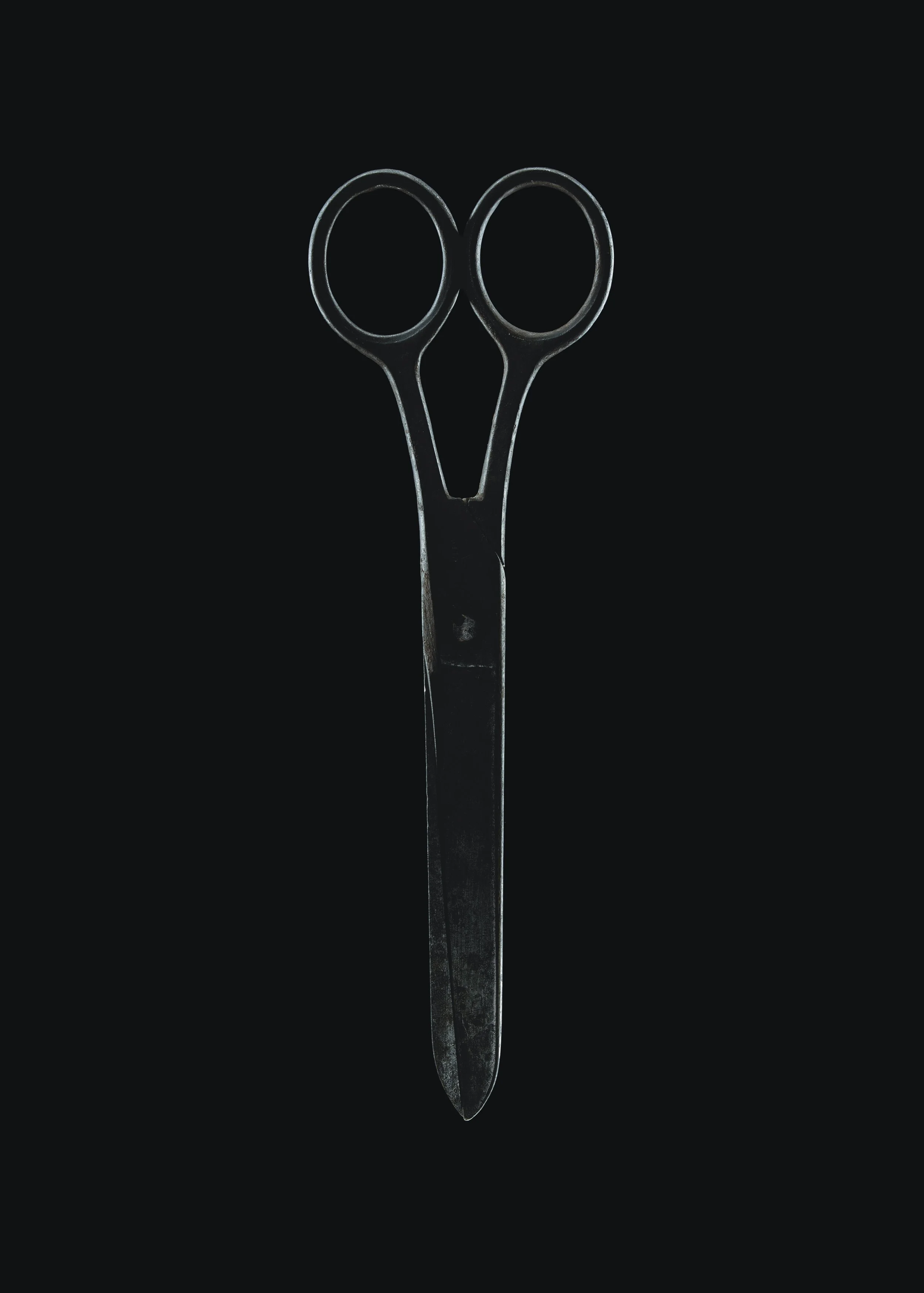 FUJIFILM TEST0171 copia.jpg