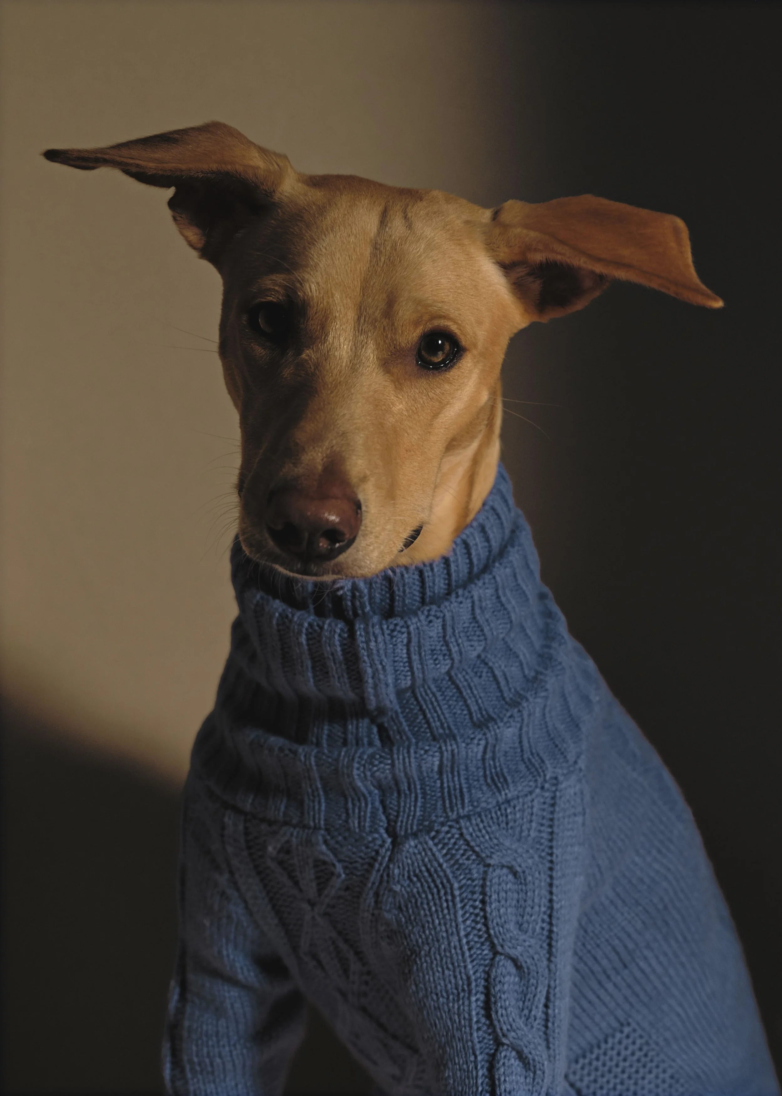 COCOLINO0473 copia 3.jpg