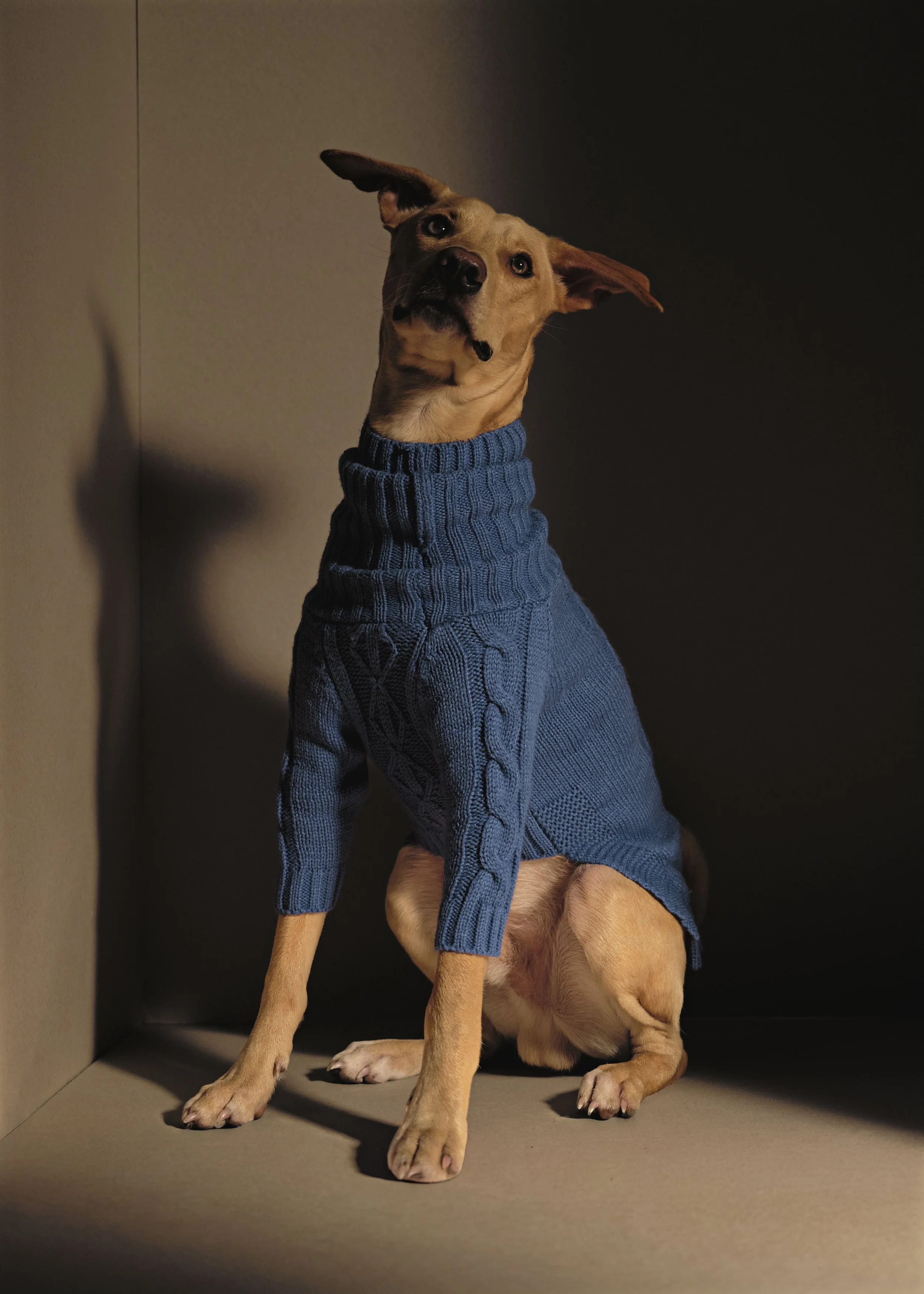 COCOLINO0471 2 copia 3.jpg