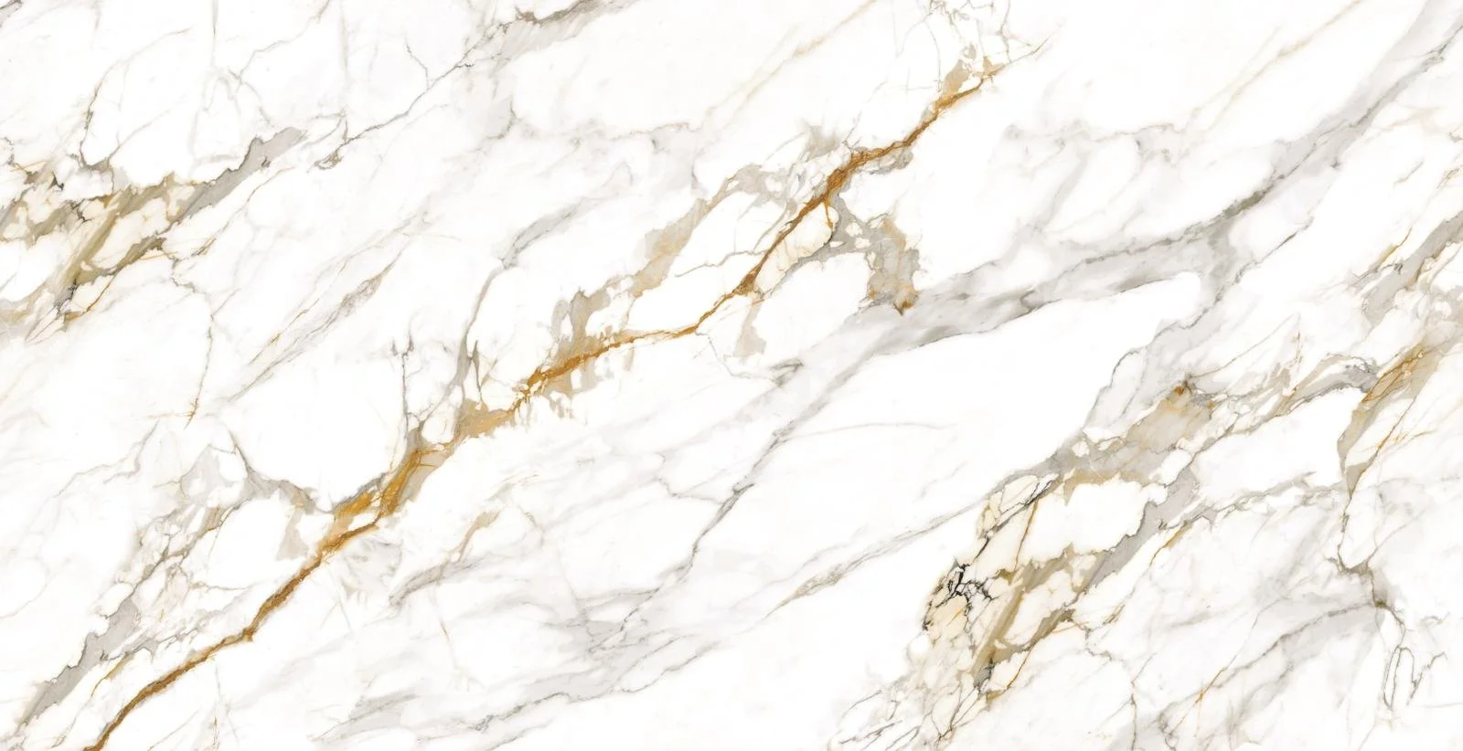 Casablanca 3D New Full Slab.jpeg