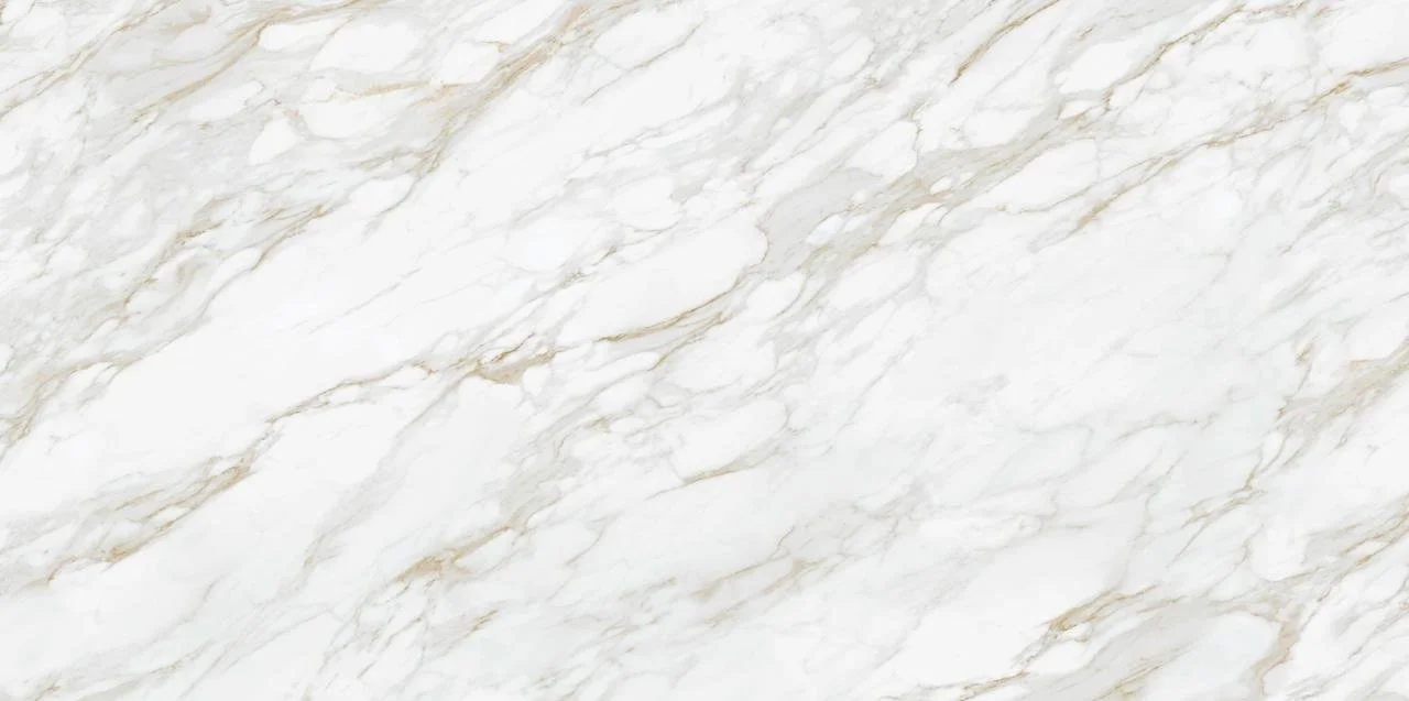 Monza 3D Full Slab 2(1).jpeg