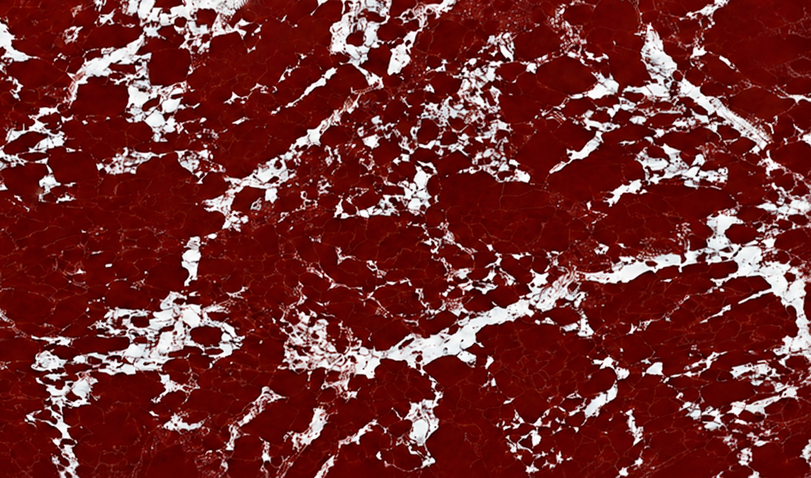 ROSSO LEVANTO HD.png