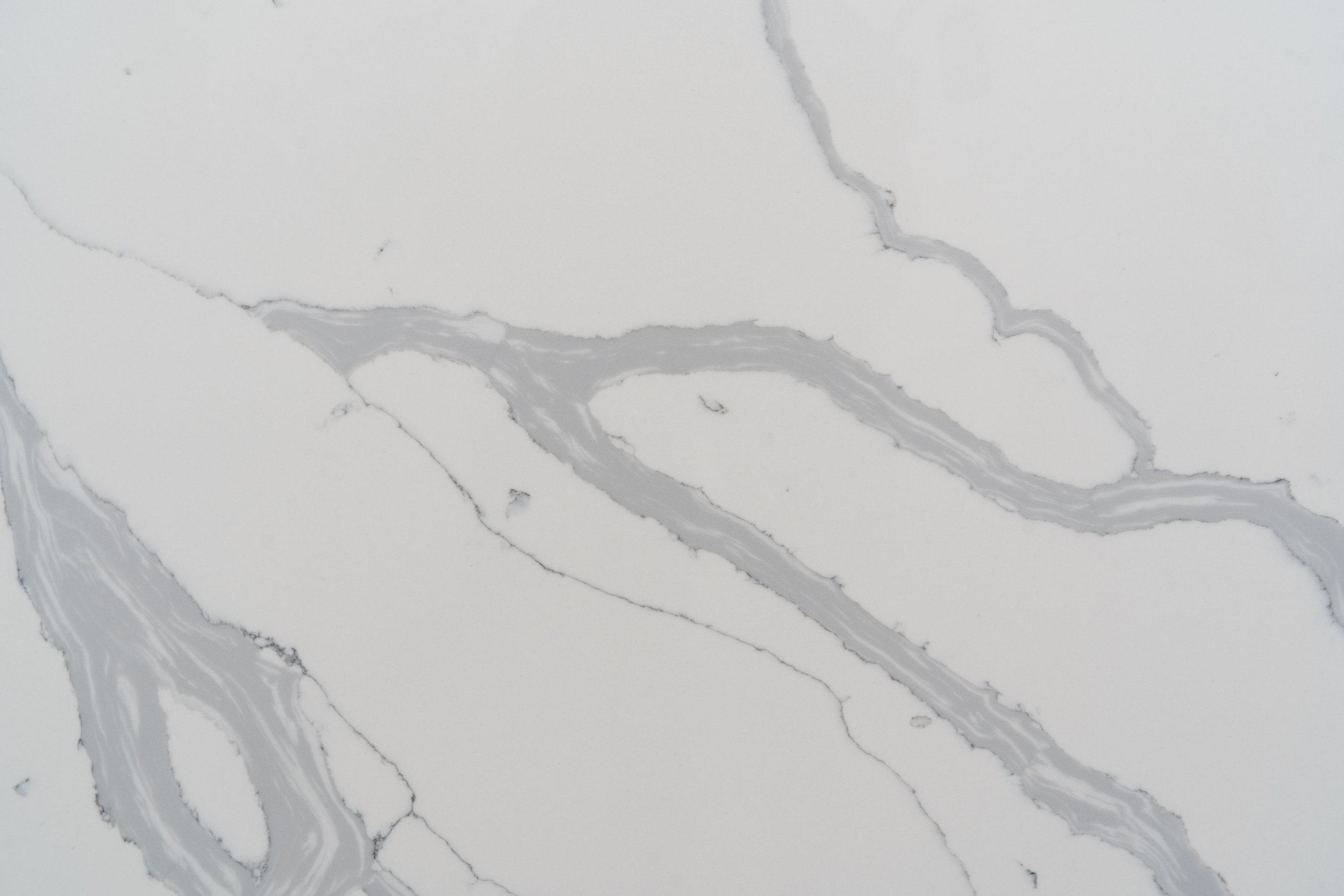 TUNDRA CLOSE UP 1.jpg