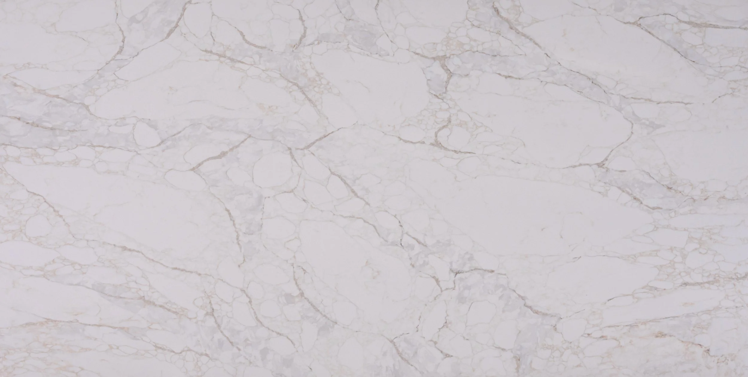 Arabescato Simba Full Slab.jpg
