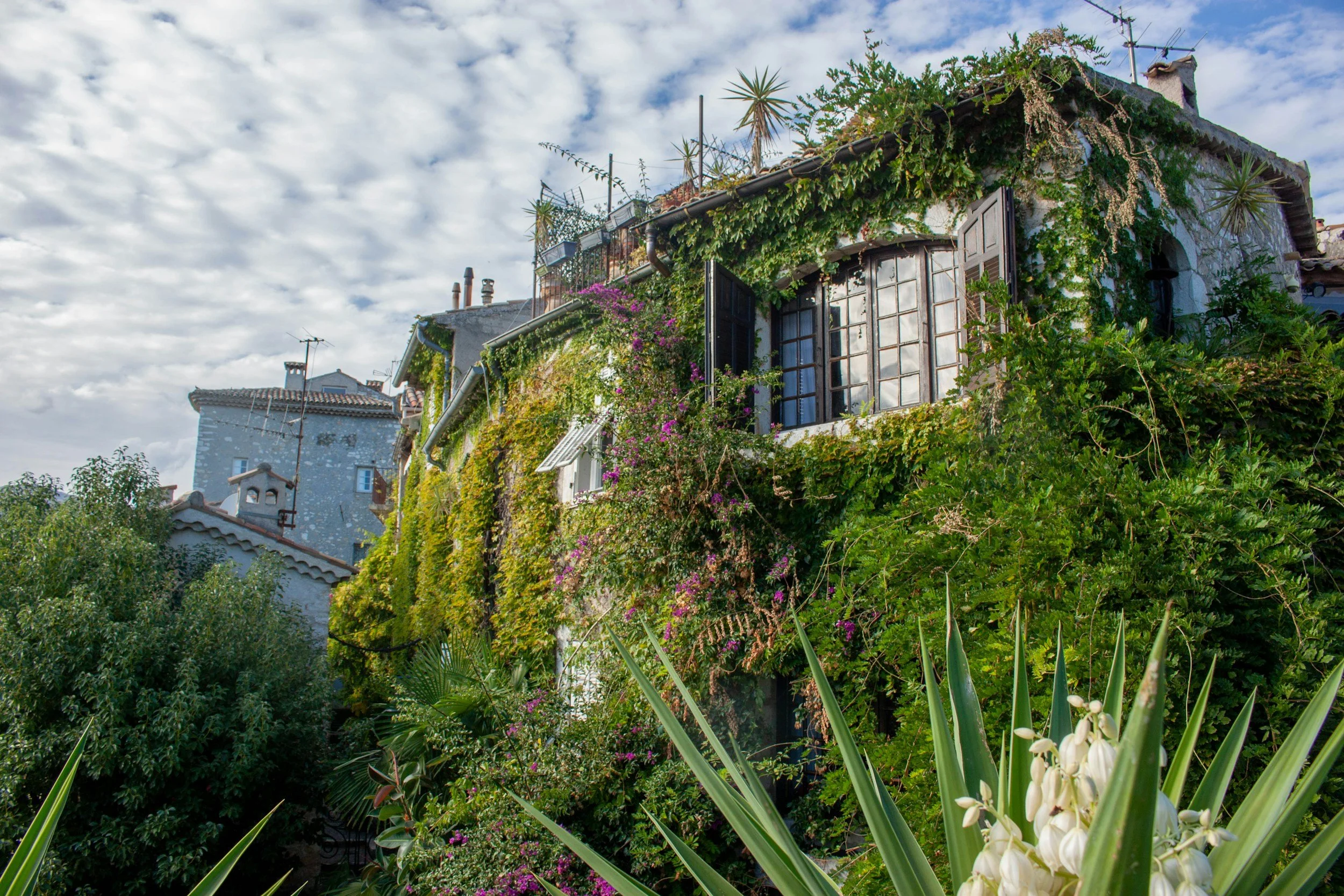 Collapse vs Reshaping