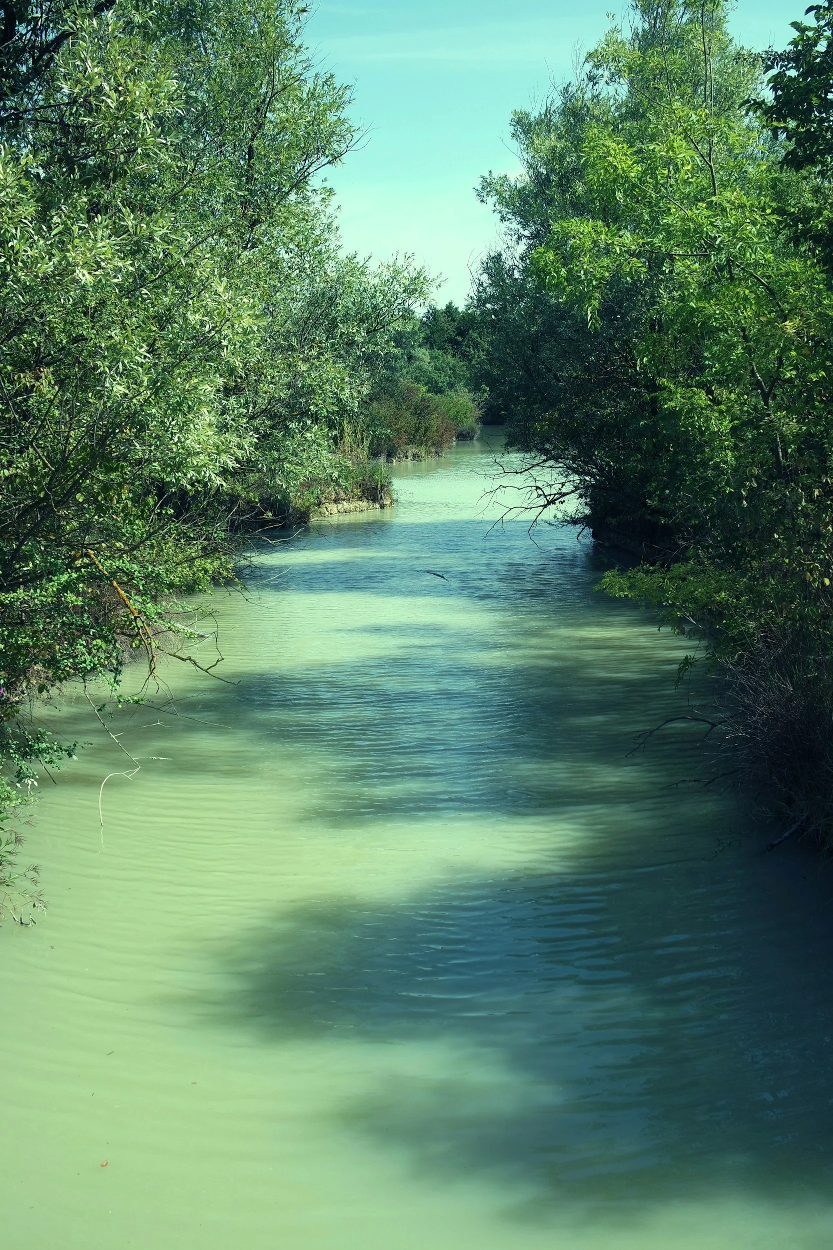 Looking Upstream: Burnout