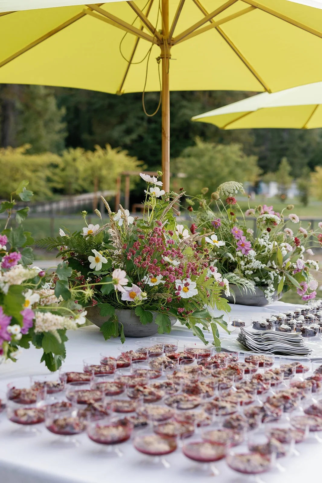 2026.06.20 Scotty and Ramey_Reception-200_websize.jpg