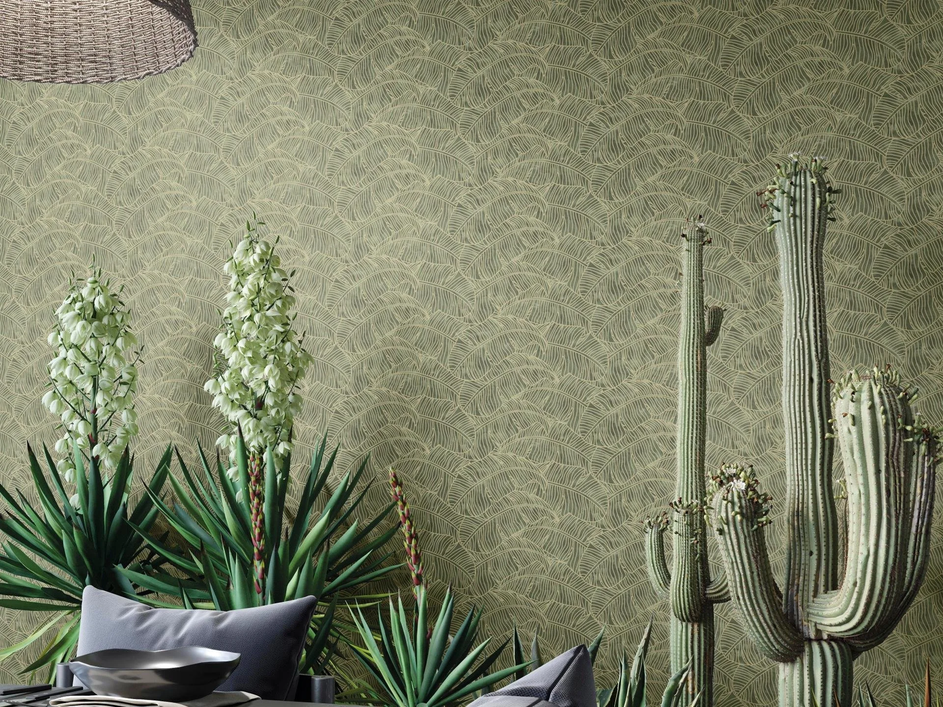4. ficus forrest.jpg