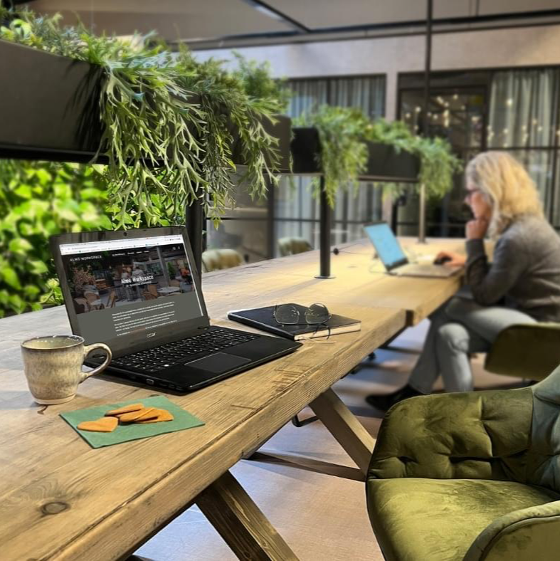 Almö workspace Caroline.png