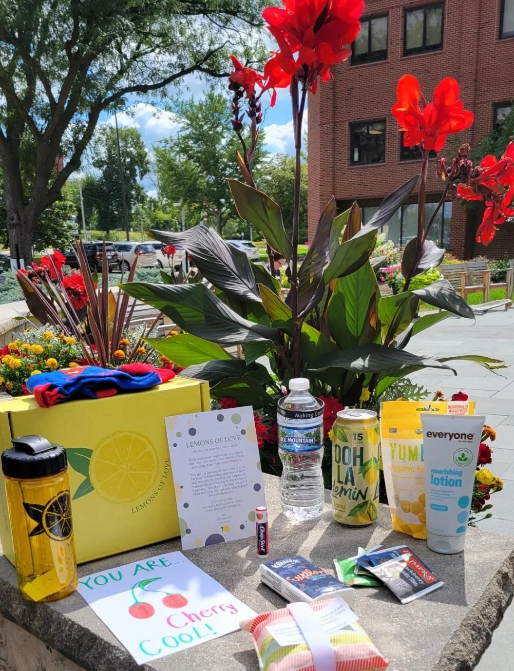 Resized_20220822_111001 cropped.JPG