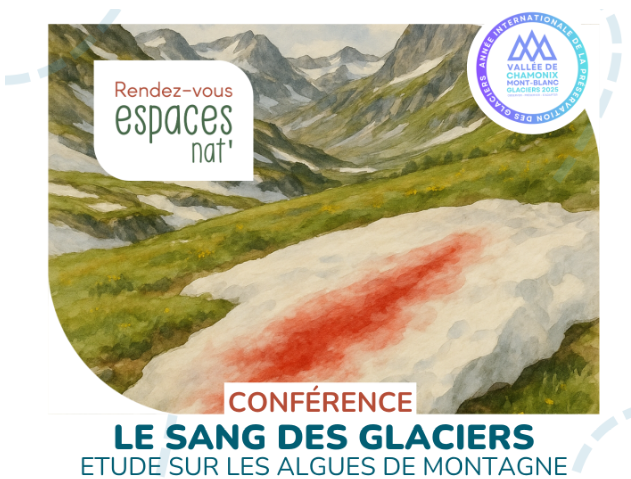 Le sang des glaciers