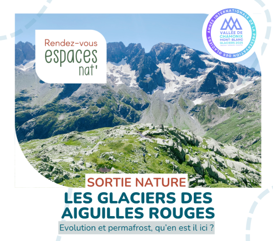 Les glaciers des Aiguilles Rouges