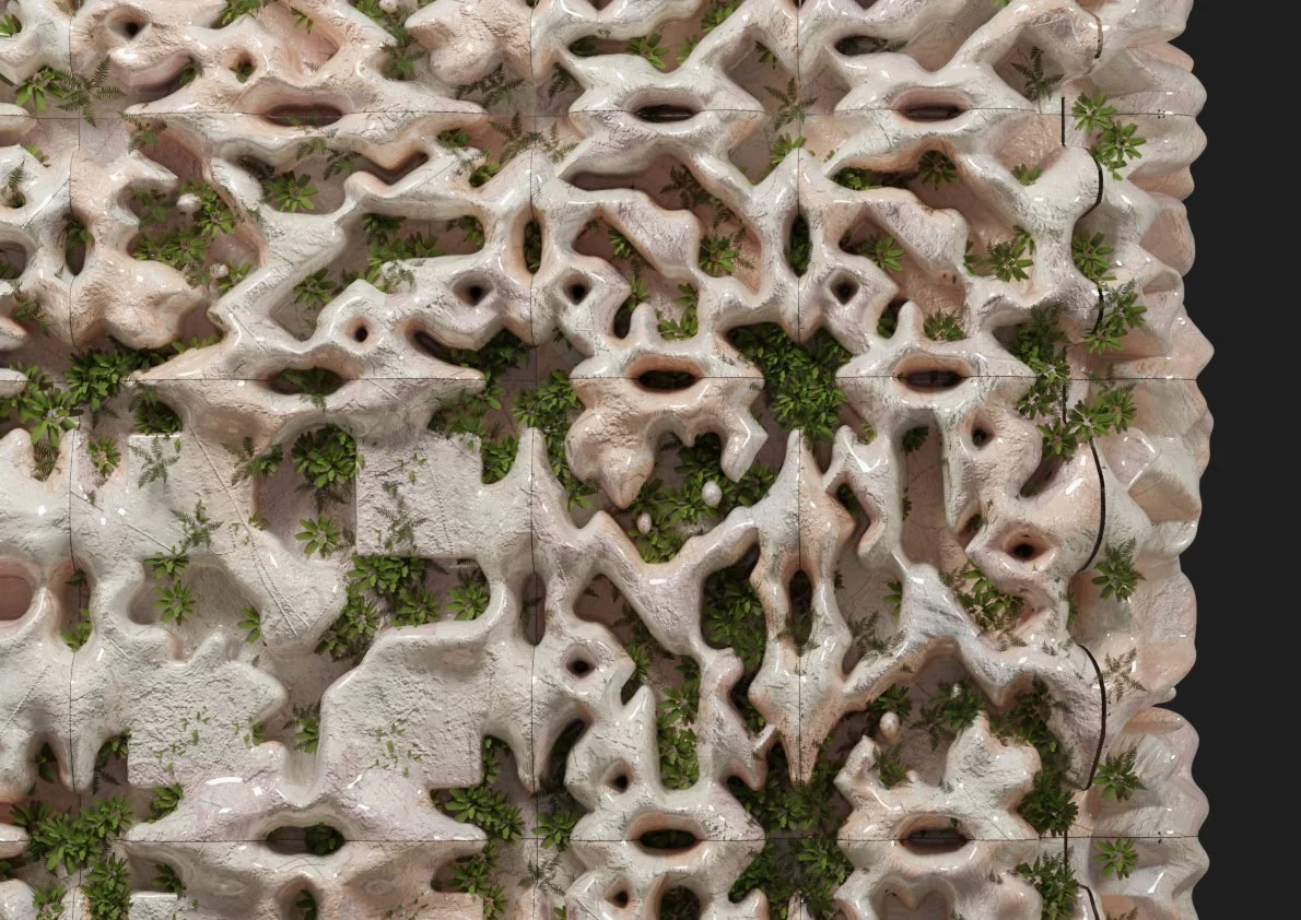 Closeup.jpg