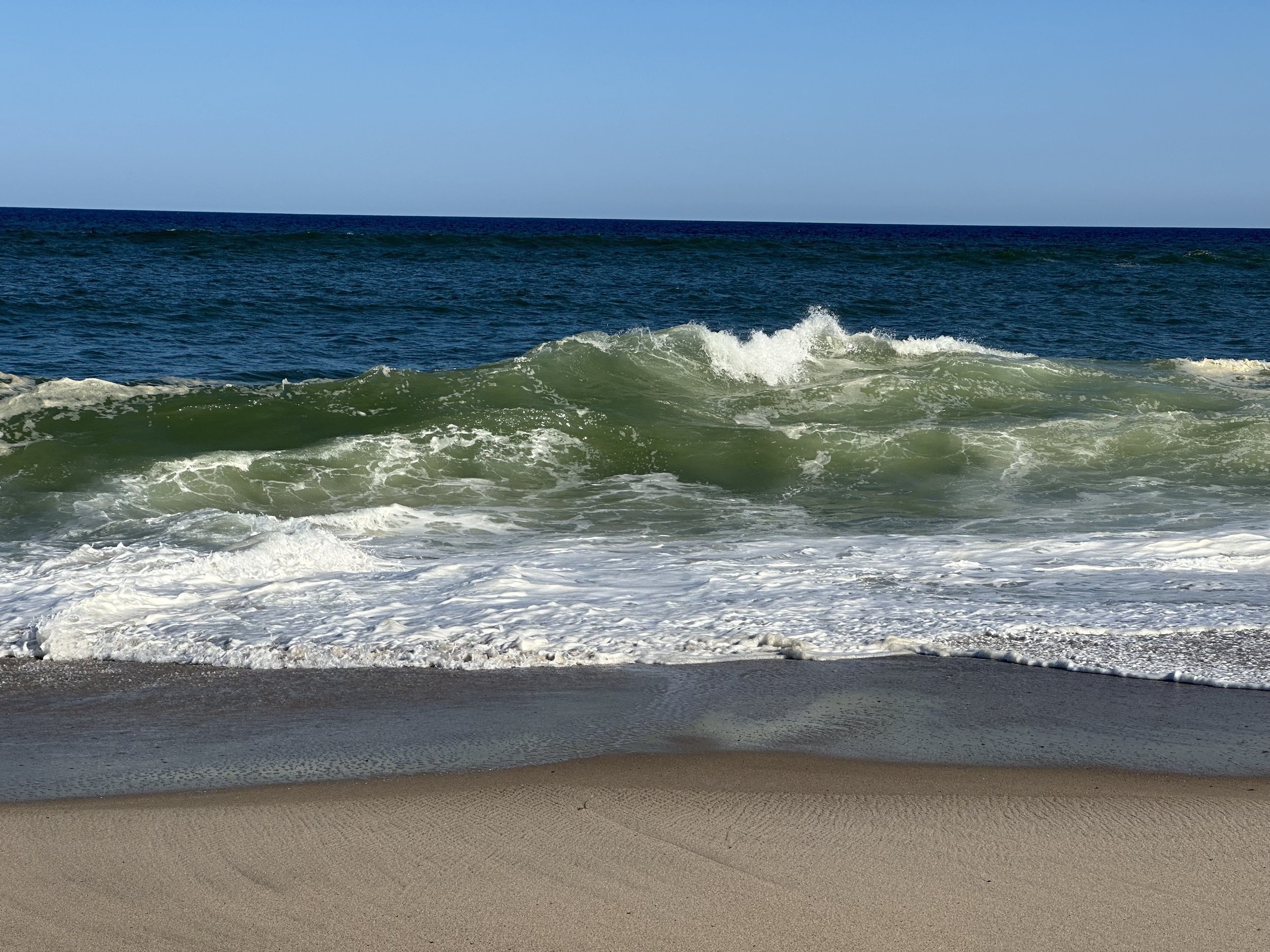 I love the ocean
