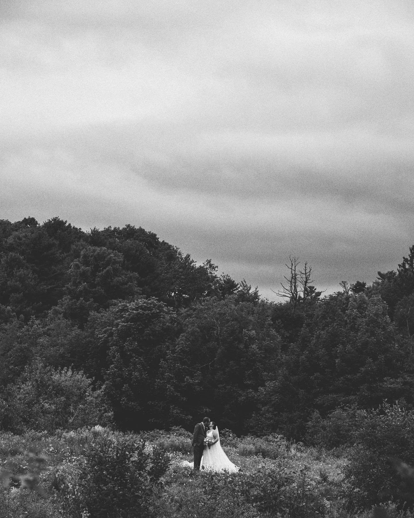 image-asset (6).jpeg