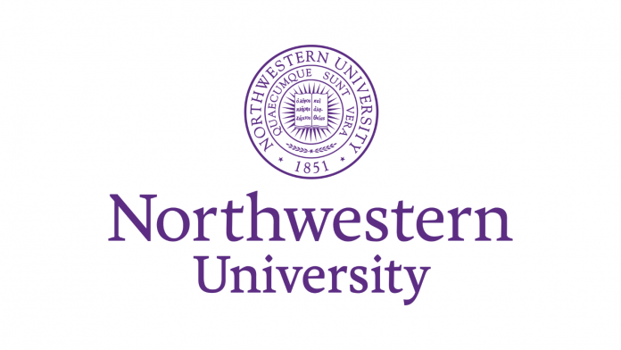 Paint it Purple: Erica @ Northwestern