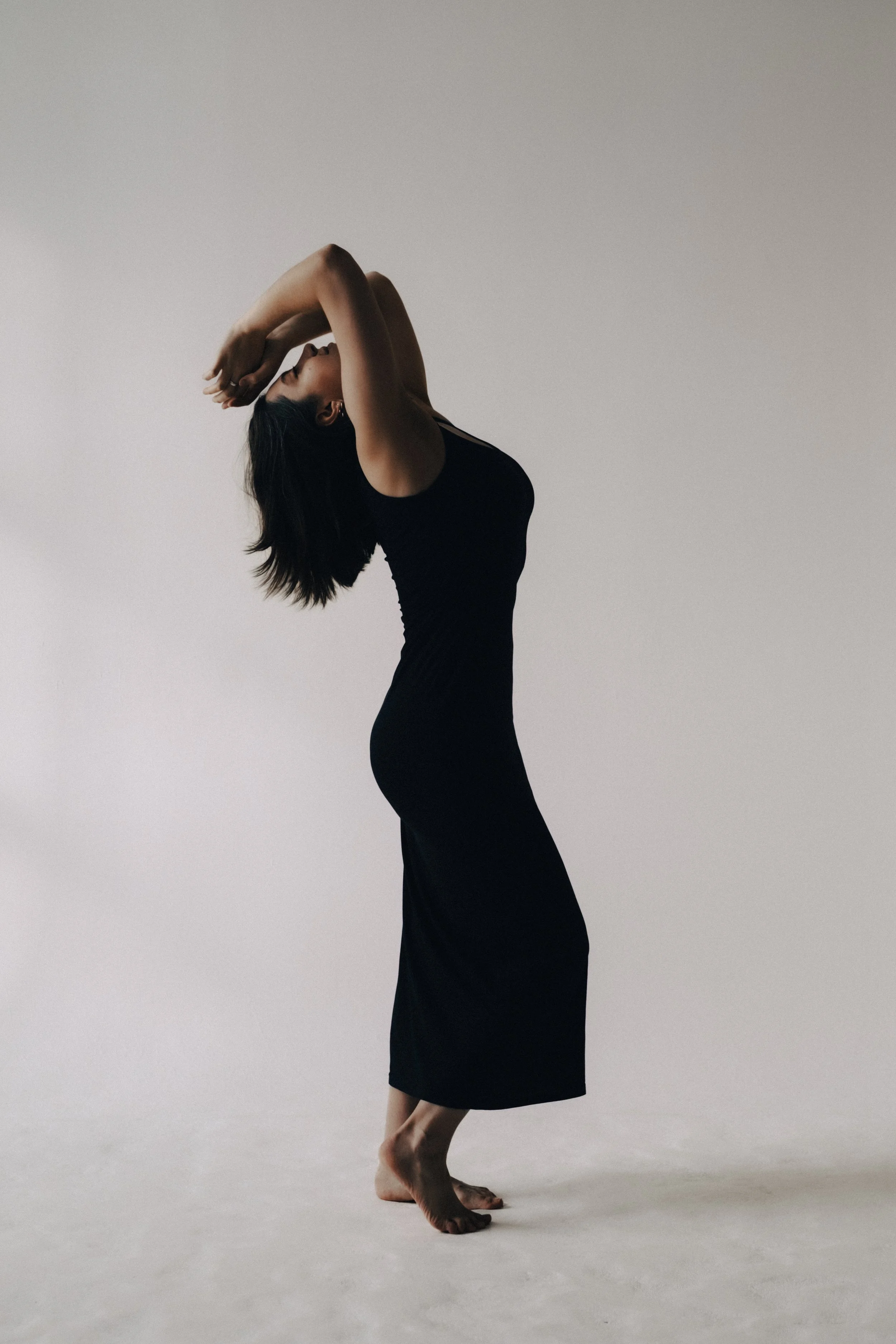 Alina Dress -6.jpg