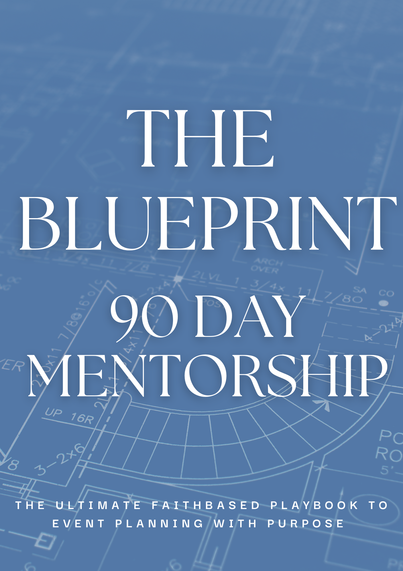 90 Day Mentorship