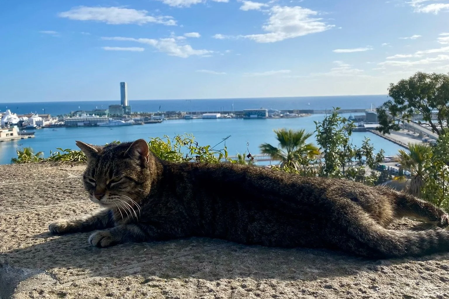 Co zobaczyć na Montjuïc?