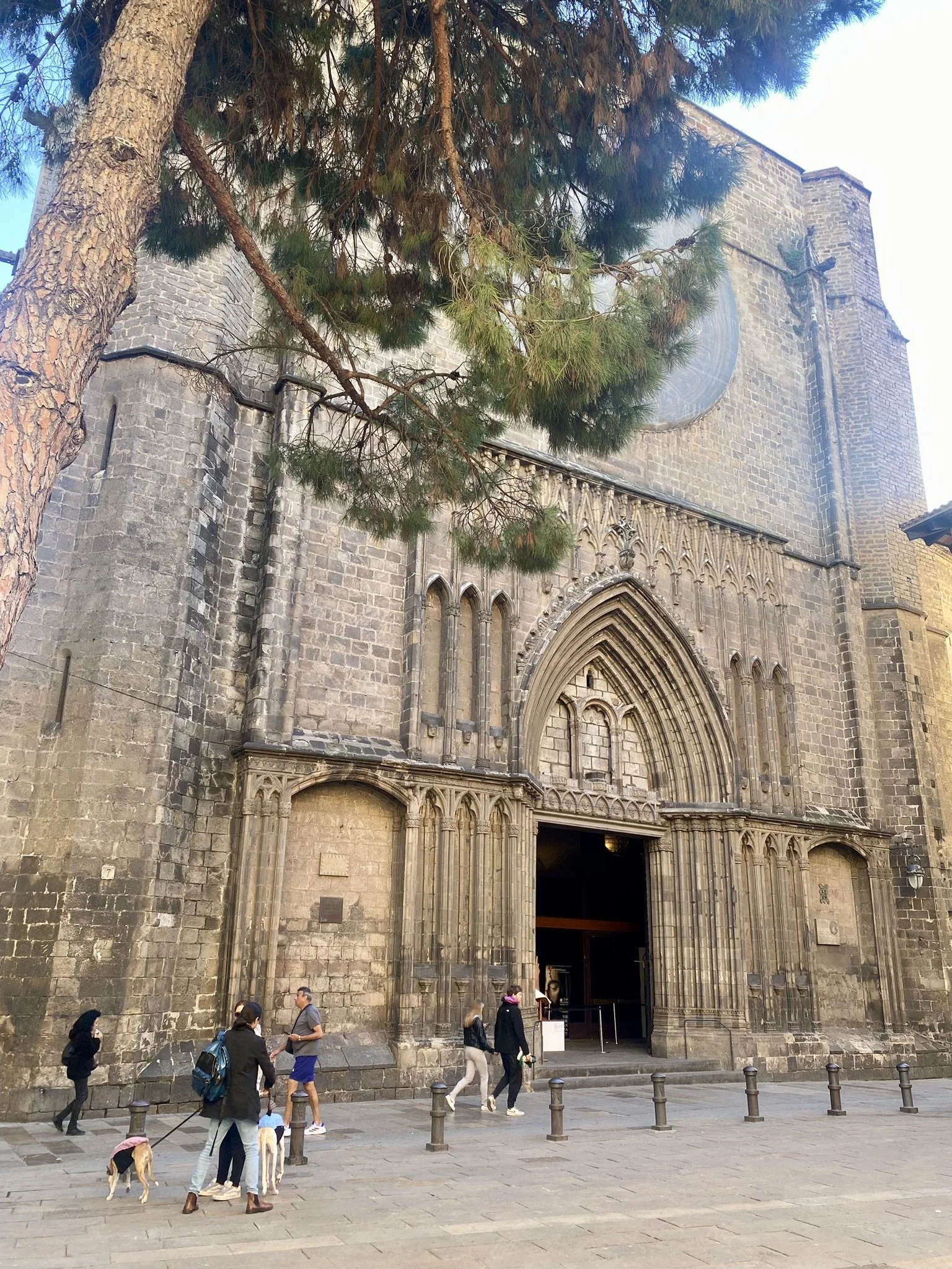 placa del pi (2).JPEG