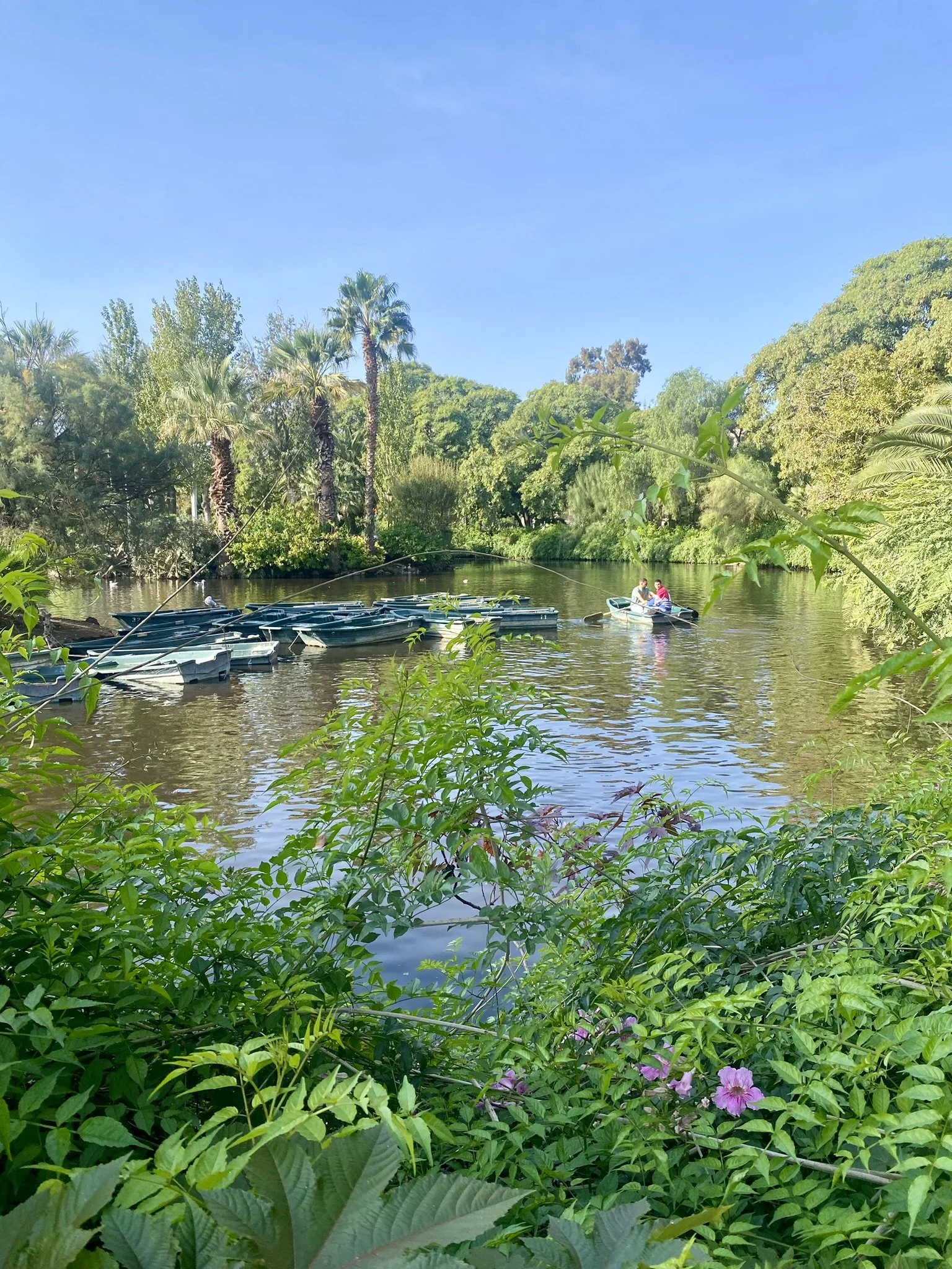 park ciutadella (5).JPEG