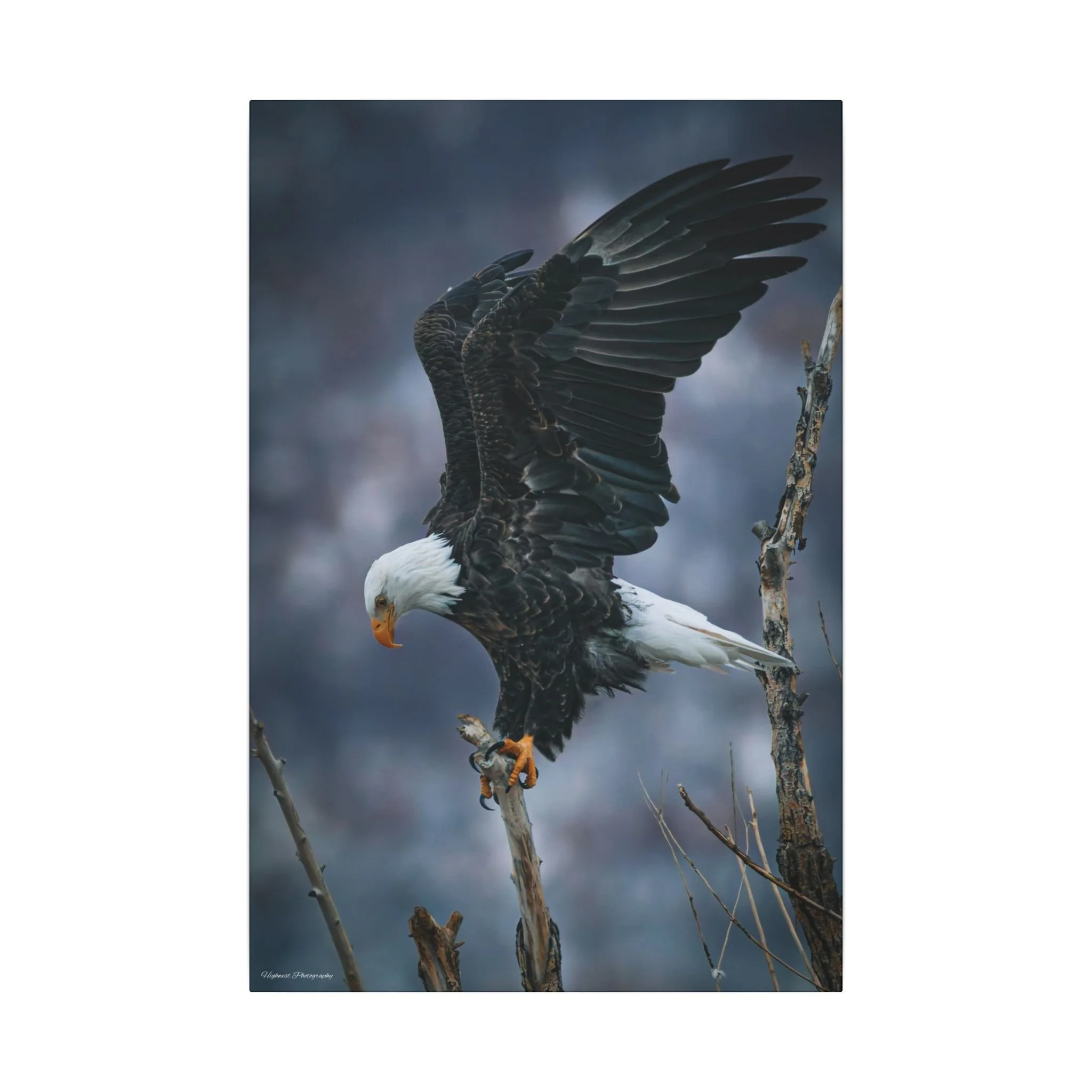 3e6a5288aee8626d19491f0cc85d64ca