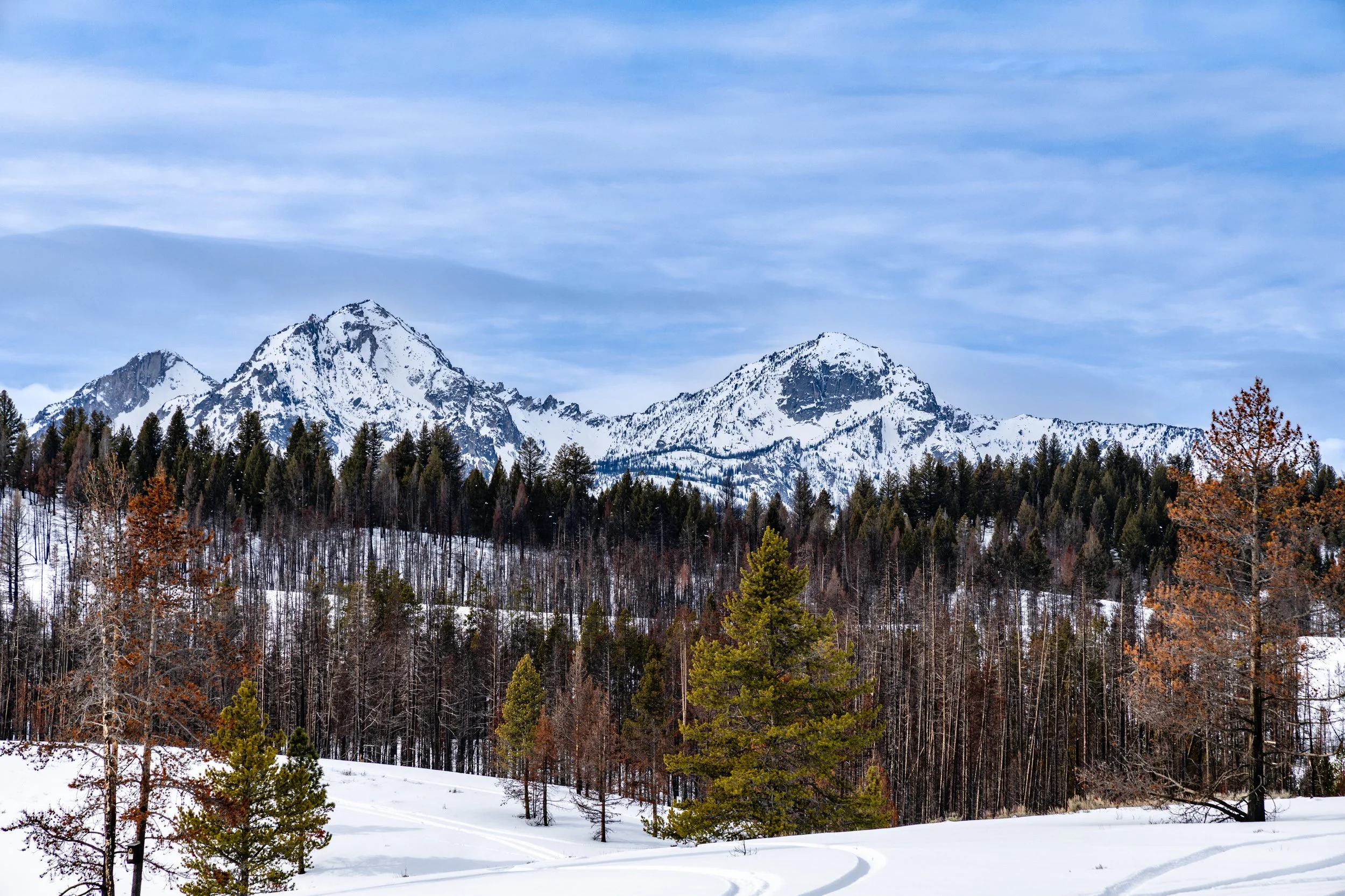 Beyond the Last Trail