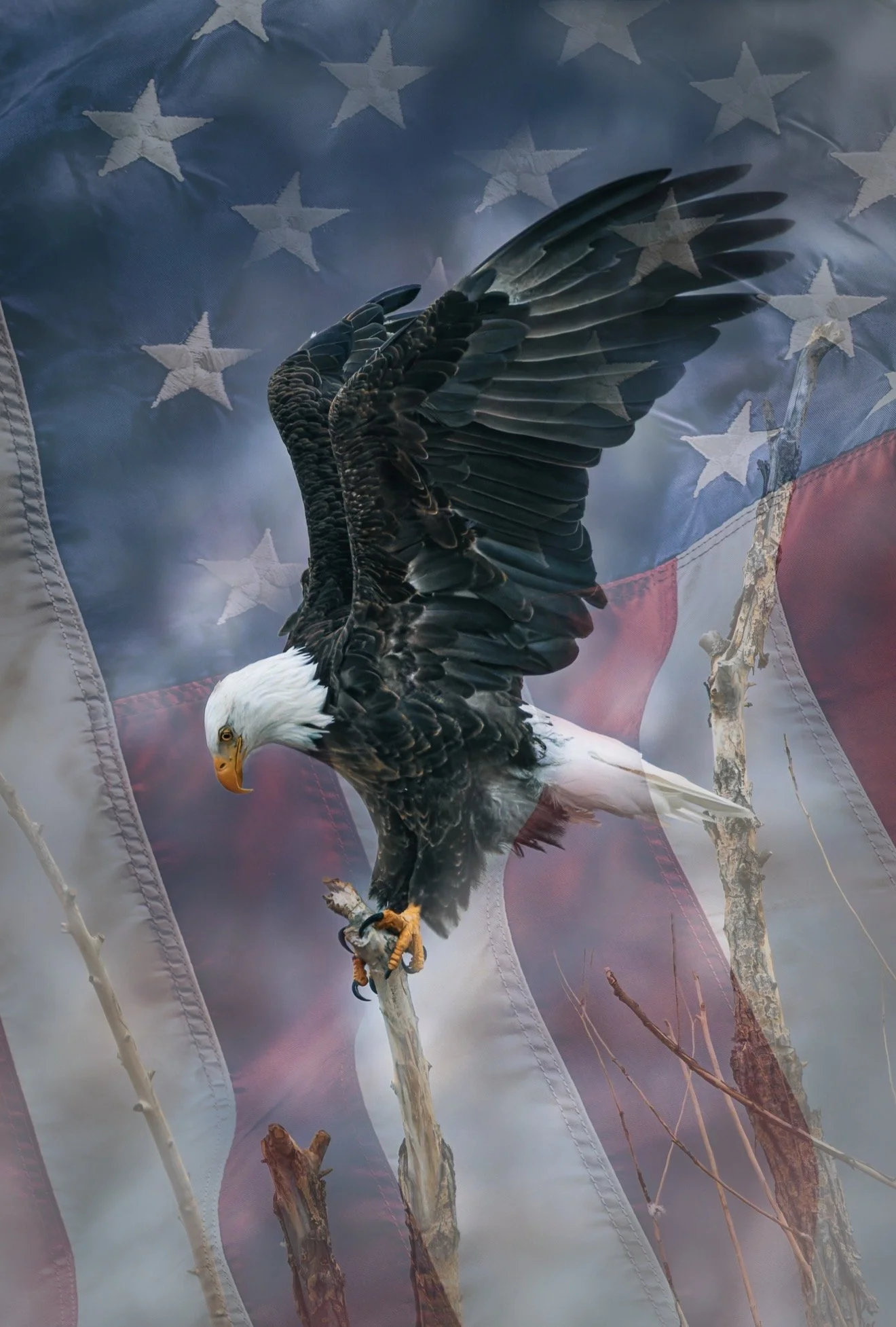 Gaurdian of Freedom