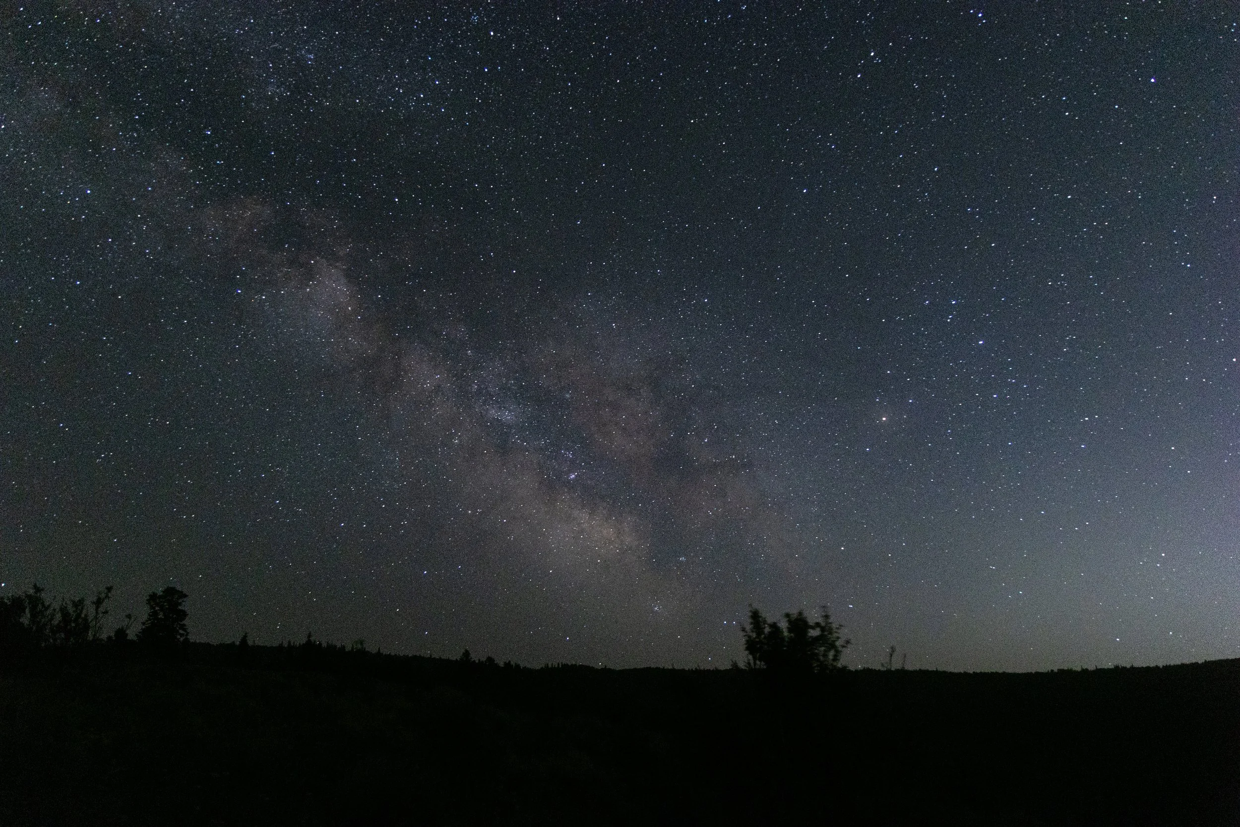 Night sky filled with numerous stars and the Milky Way galaxy visible over a dark landscape with silhouetted trees.